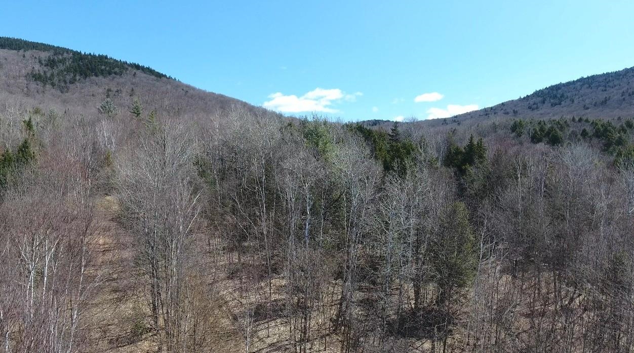 Homes for sale in Kirby, VT | Bennett Rd, Kirby, VT 05832 | MLS# 5043067