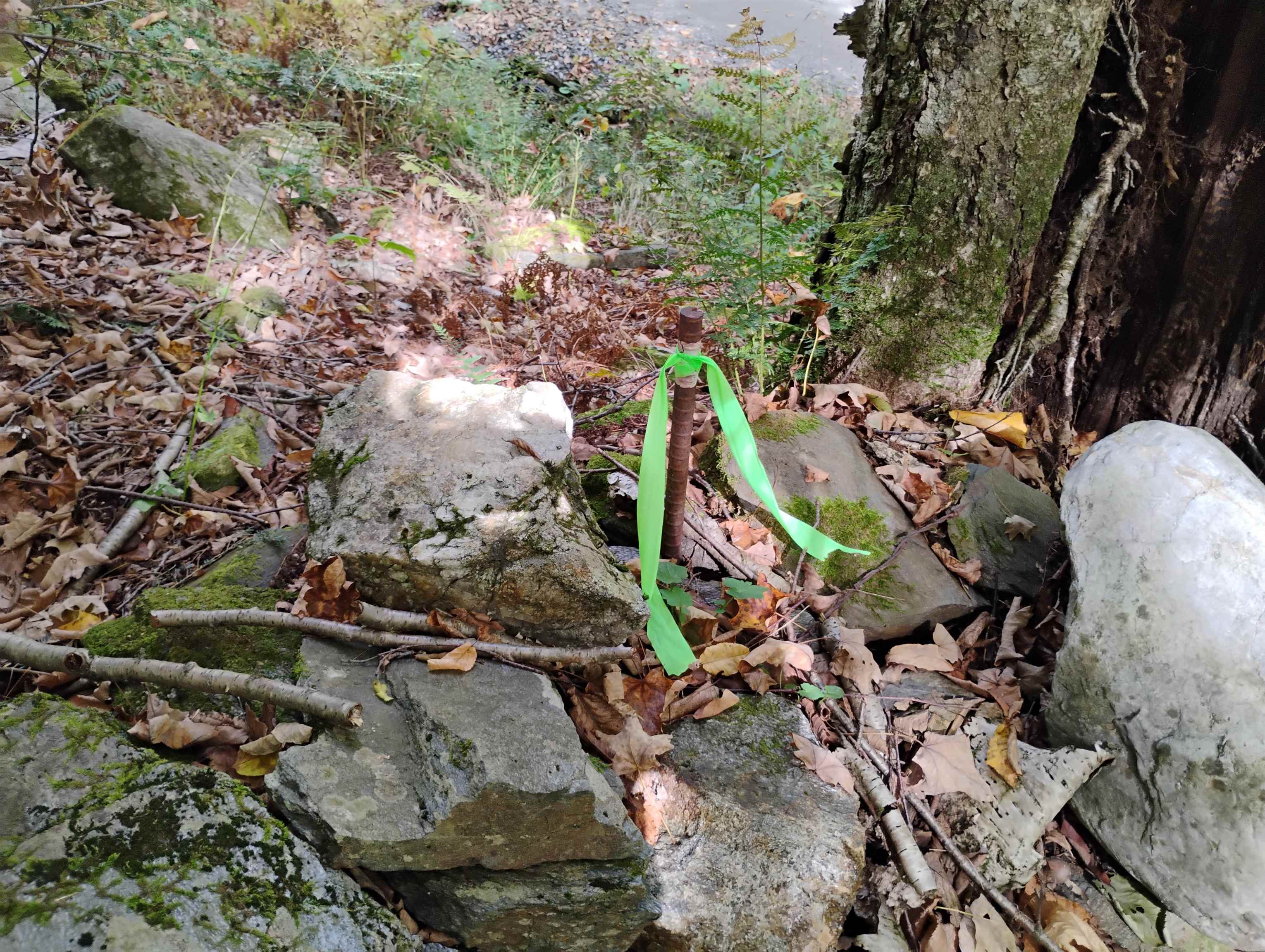 Homes for sale in Putney, VT | 0 Banning Rd, Putney, VT 05346 | MLS# 5043309