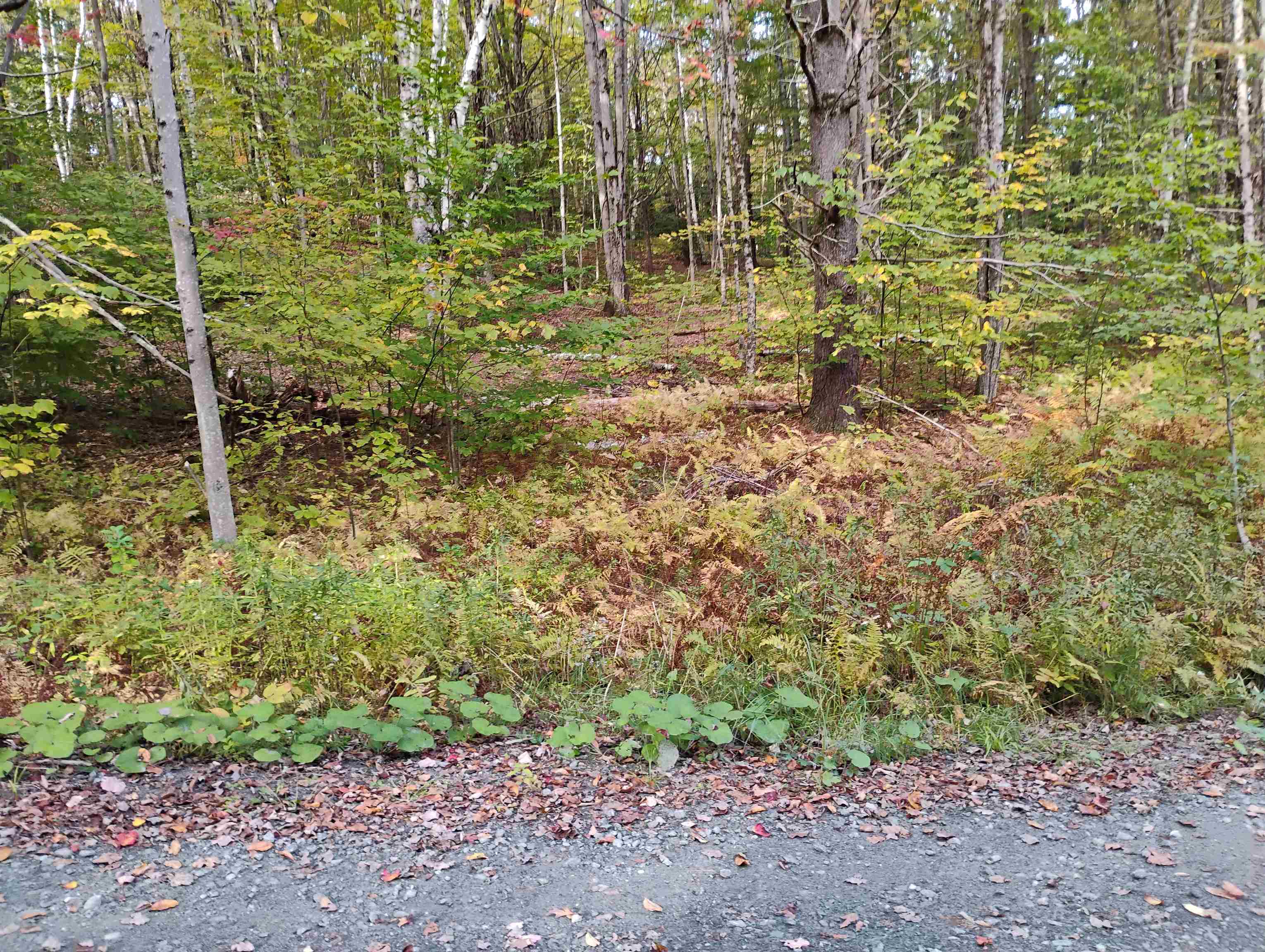 Homes for sale in Putney, VT | 0 Banning Rd, Putney, VT 05346 | MLS# 5043309