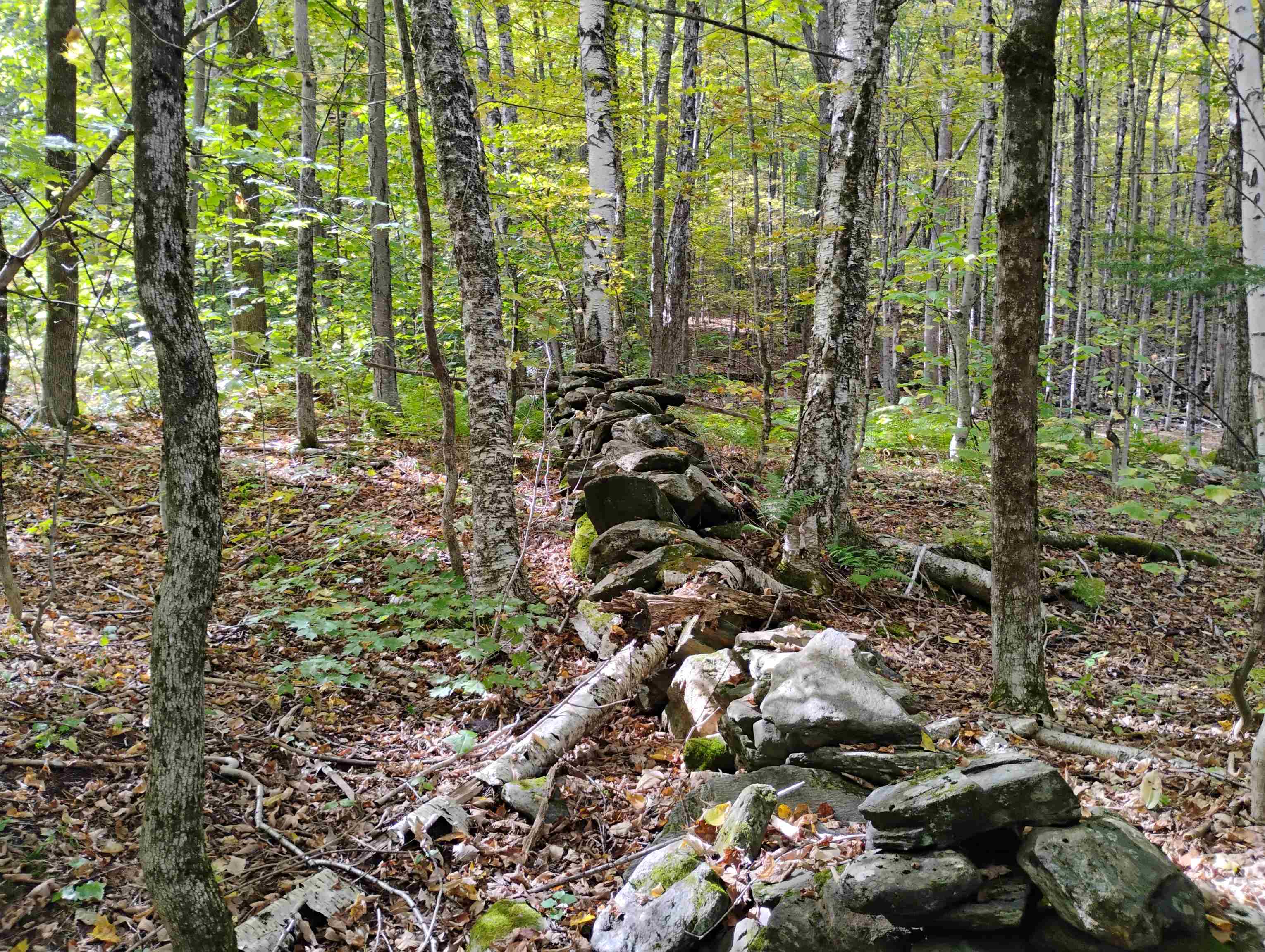 Homes for sale in Putney, VT | 0 Banning Rd, Putney, VT 05346 | MLS# 5043309