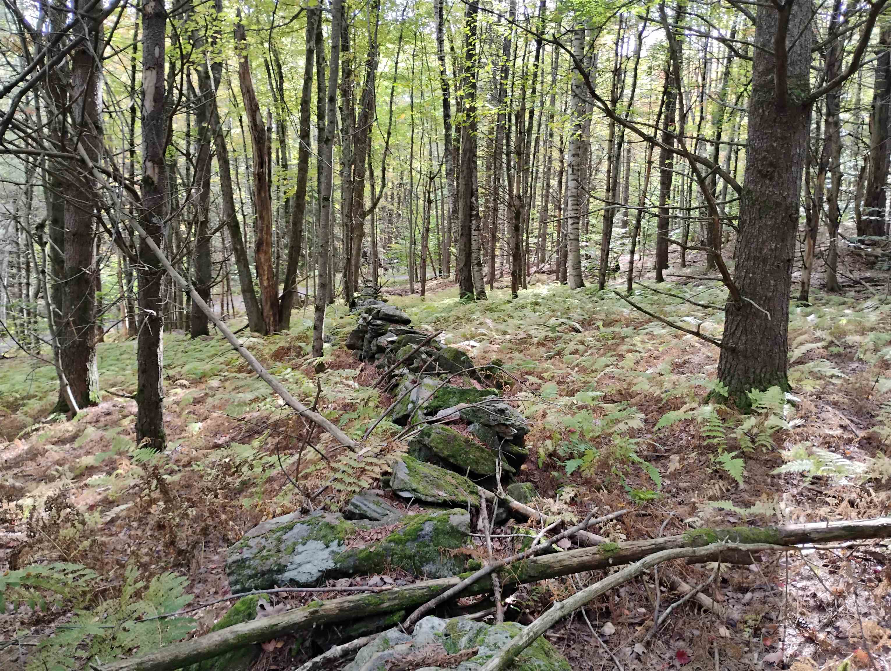 Homes for sale in Putney, VT | 0 Banning Rd, Putney, VT 05346 | MLS# 5043309