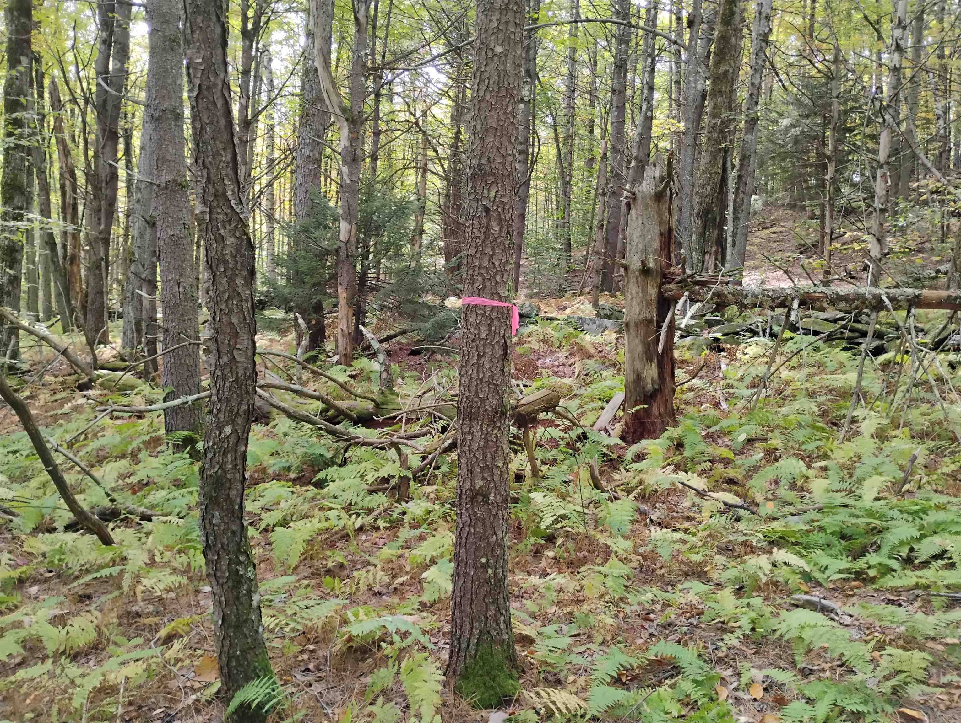 Homes for sale in Putney, VT | 0 Banning Rd, Putney, VT 05346 | MLS# 5043309