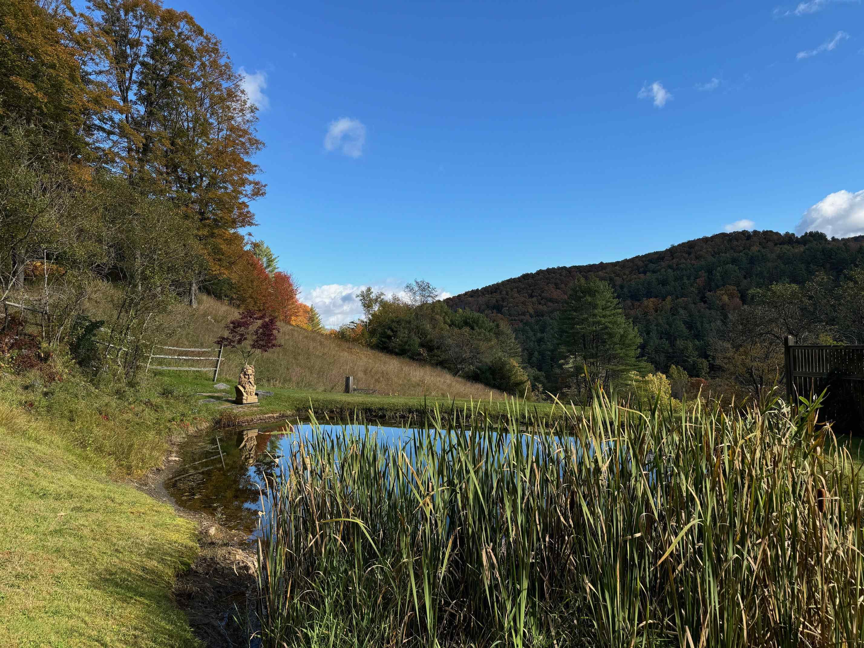 Pond and View 22810404