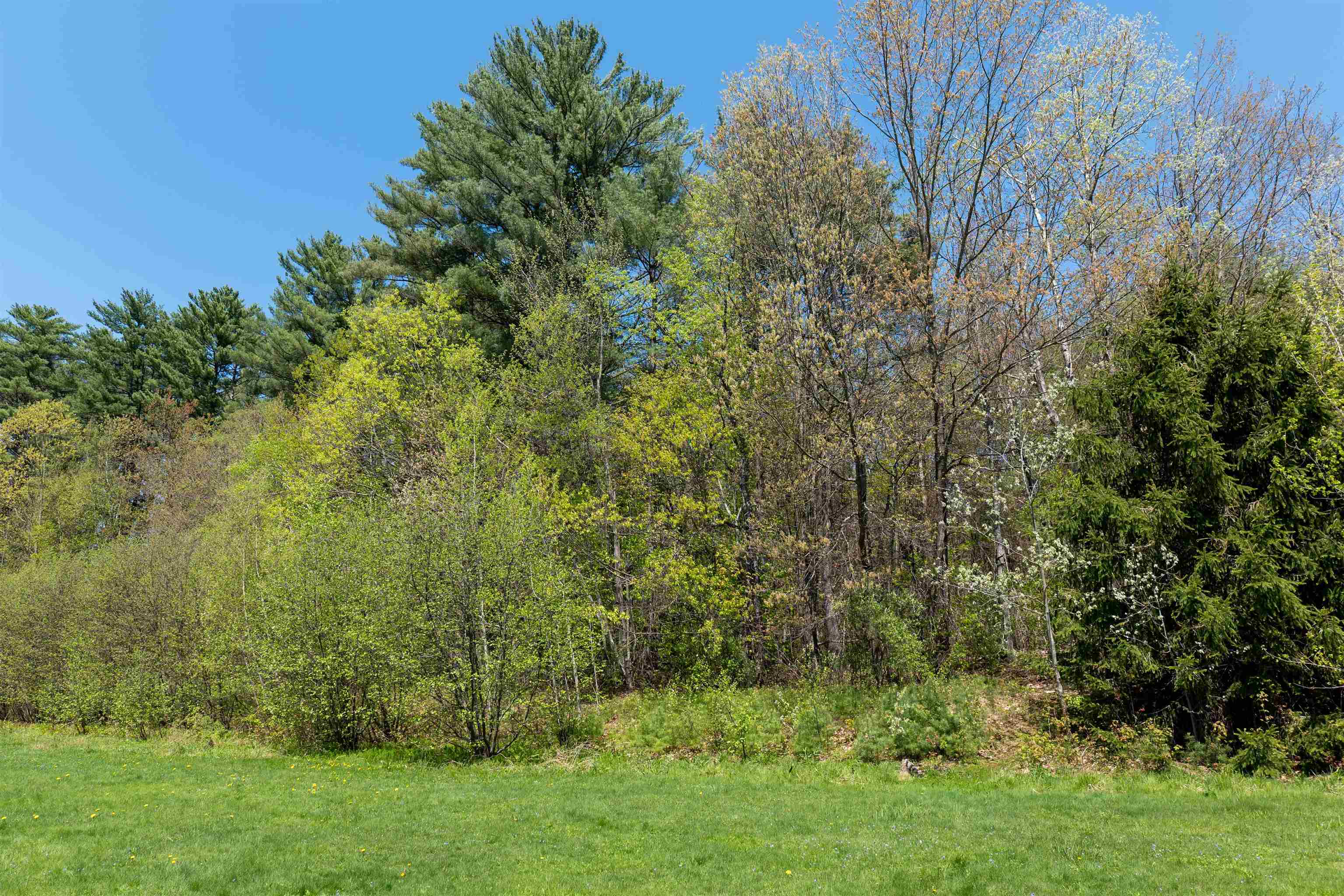 MLS #5043422 image #10