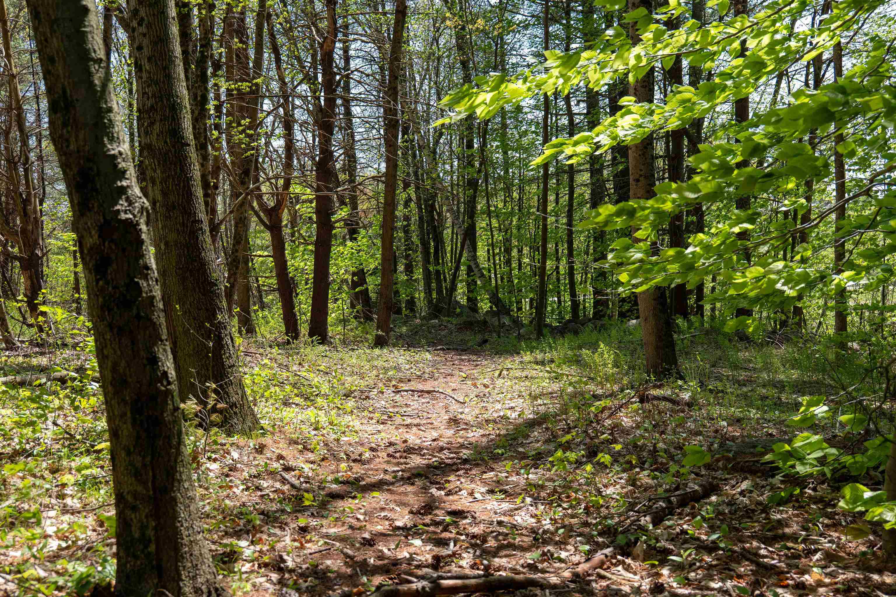 MLS #5043422 image #11