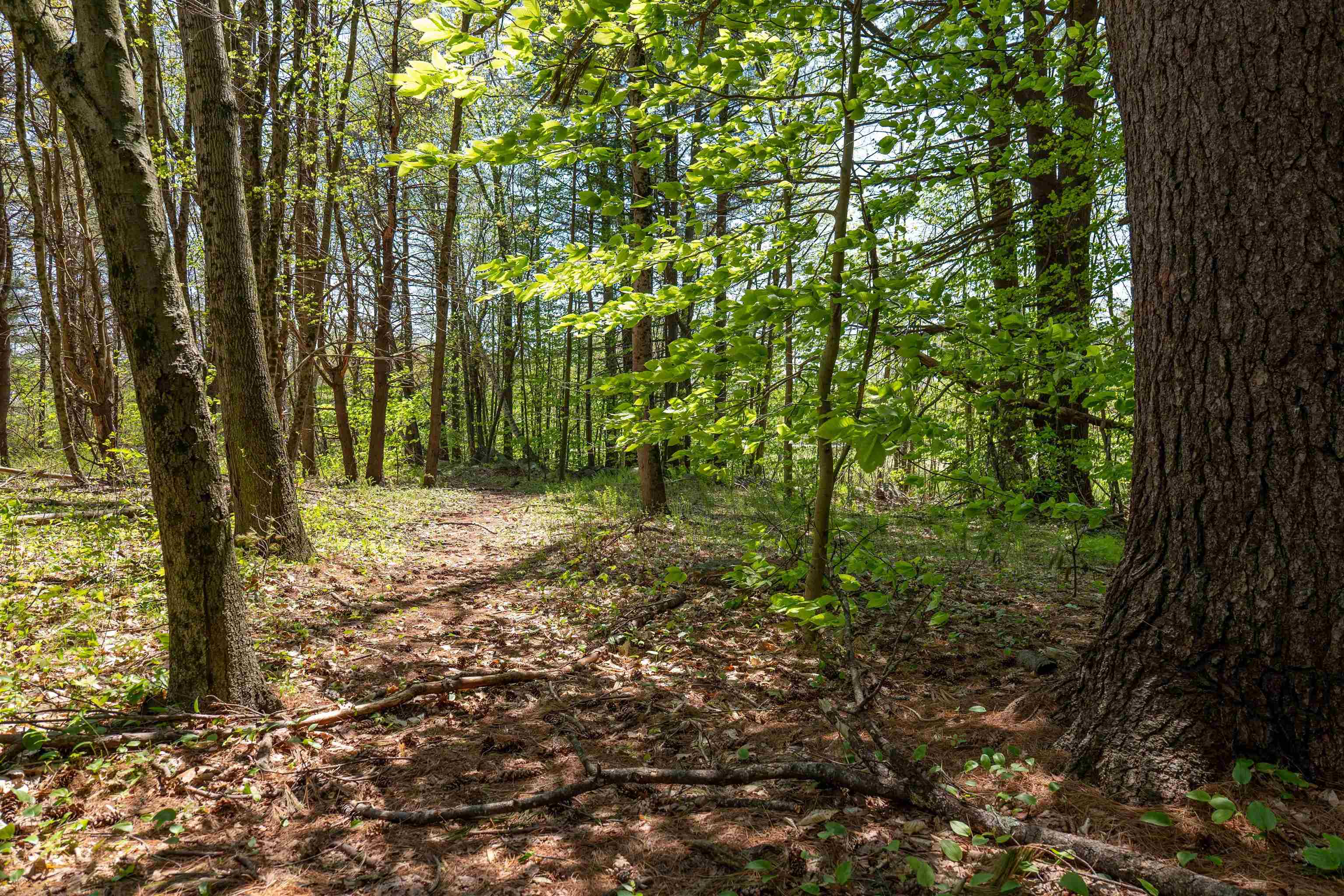 MLS #5043422 image #12