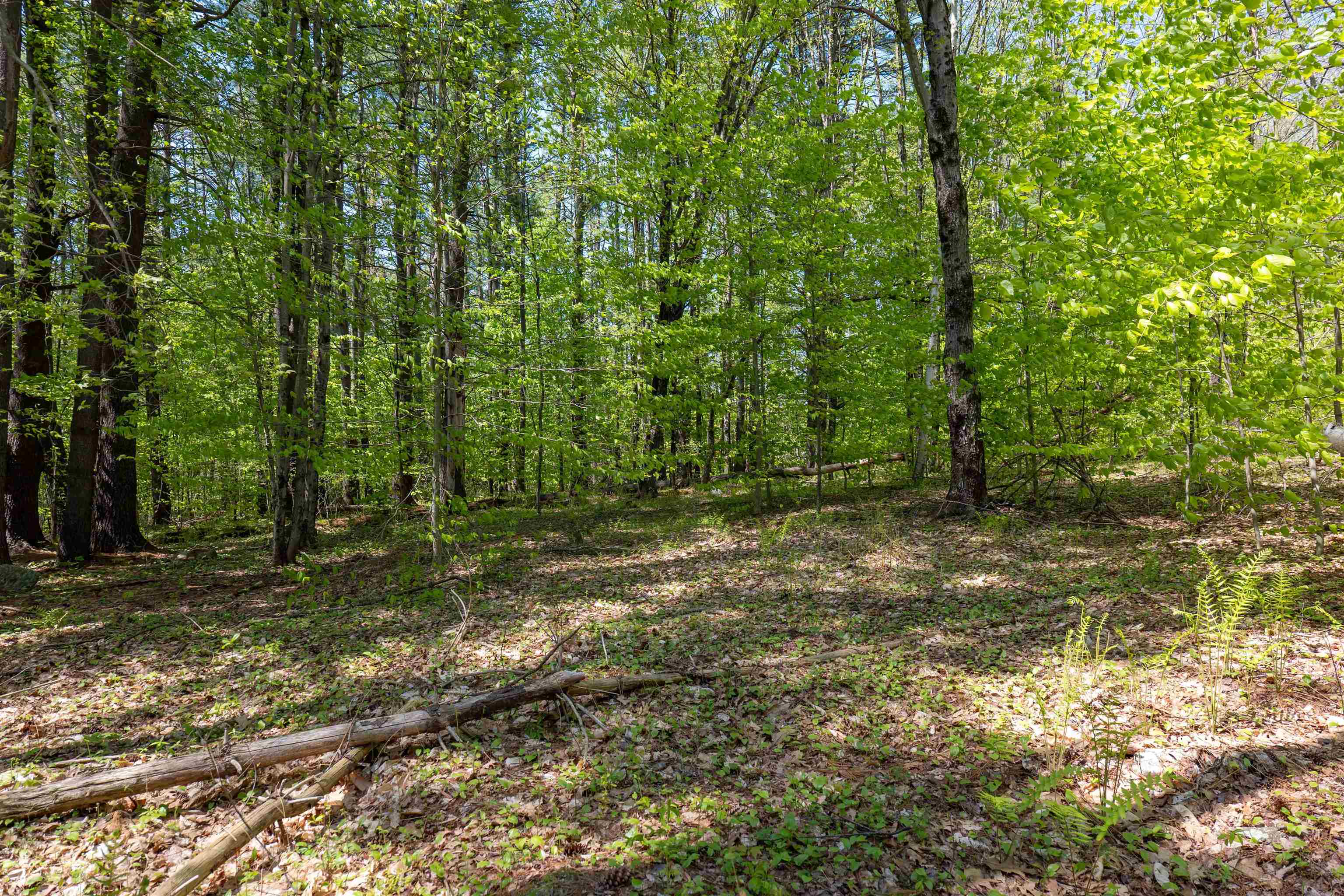 MLS #5043422 image #15