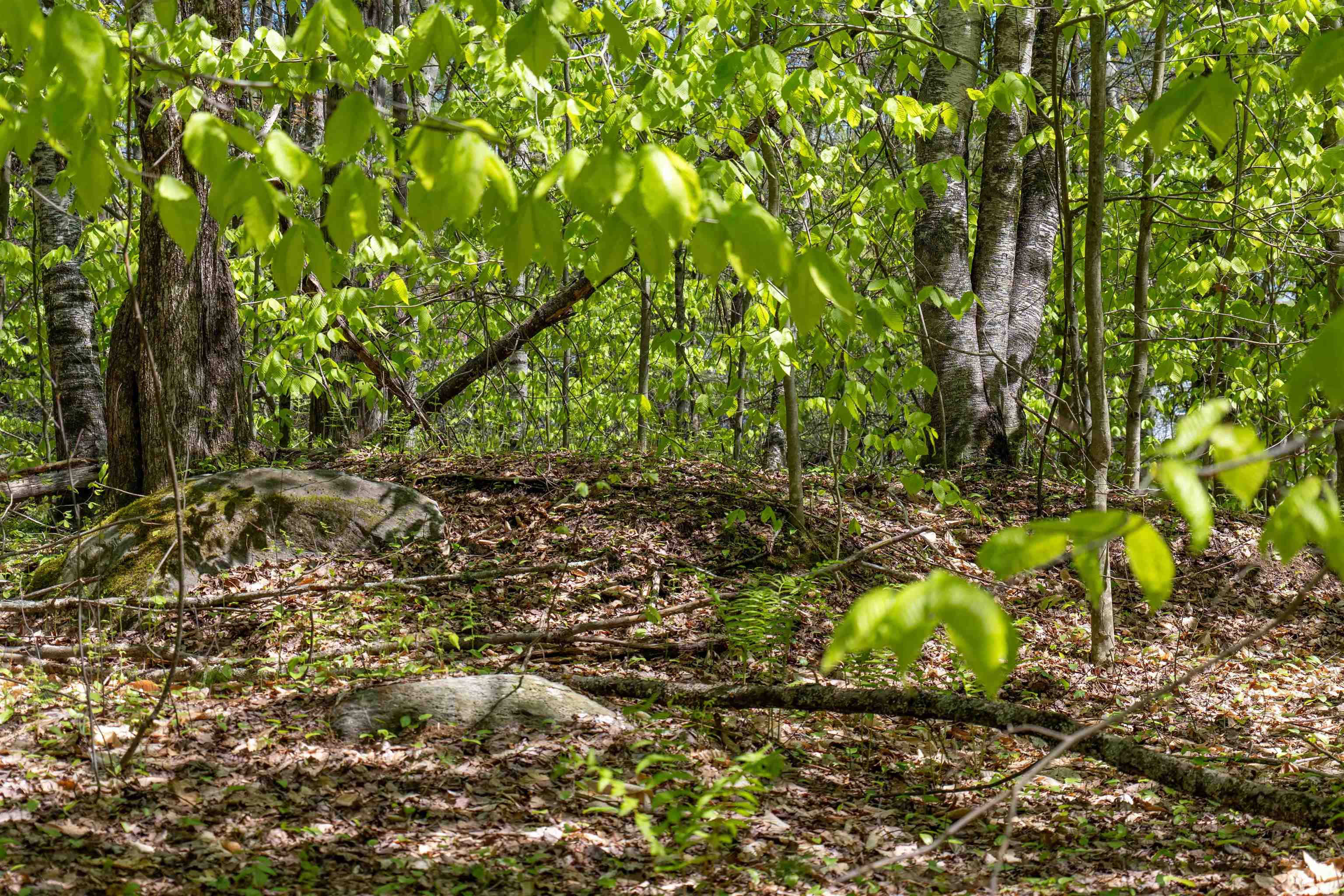 MLS #5043422 image #16