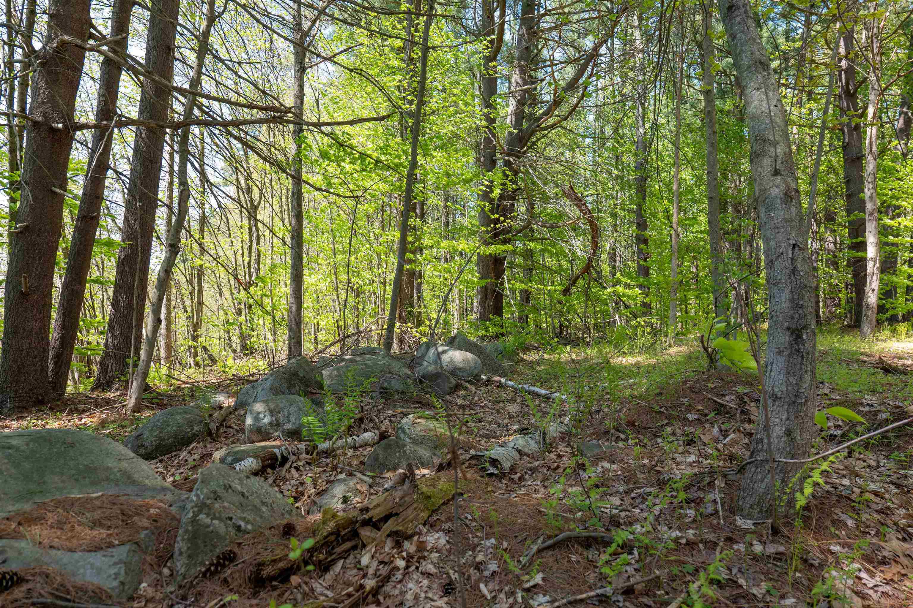 MLS #5043422 image #17