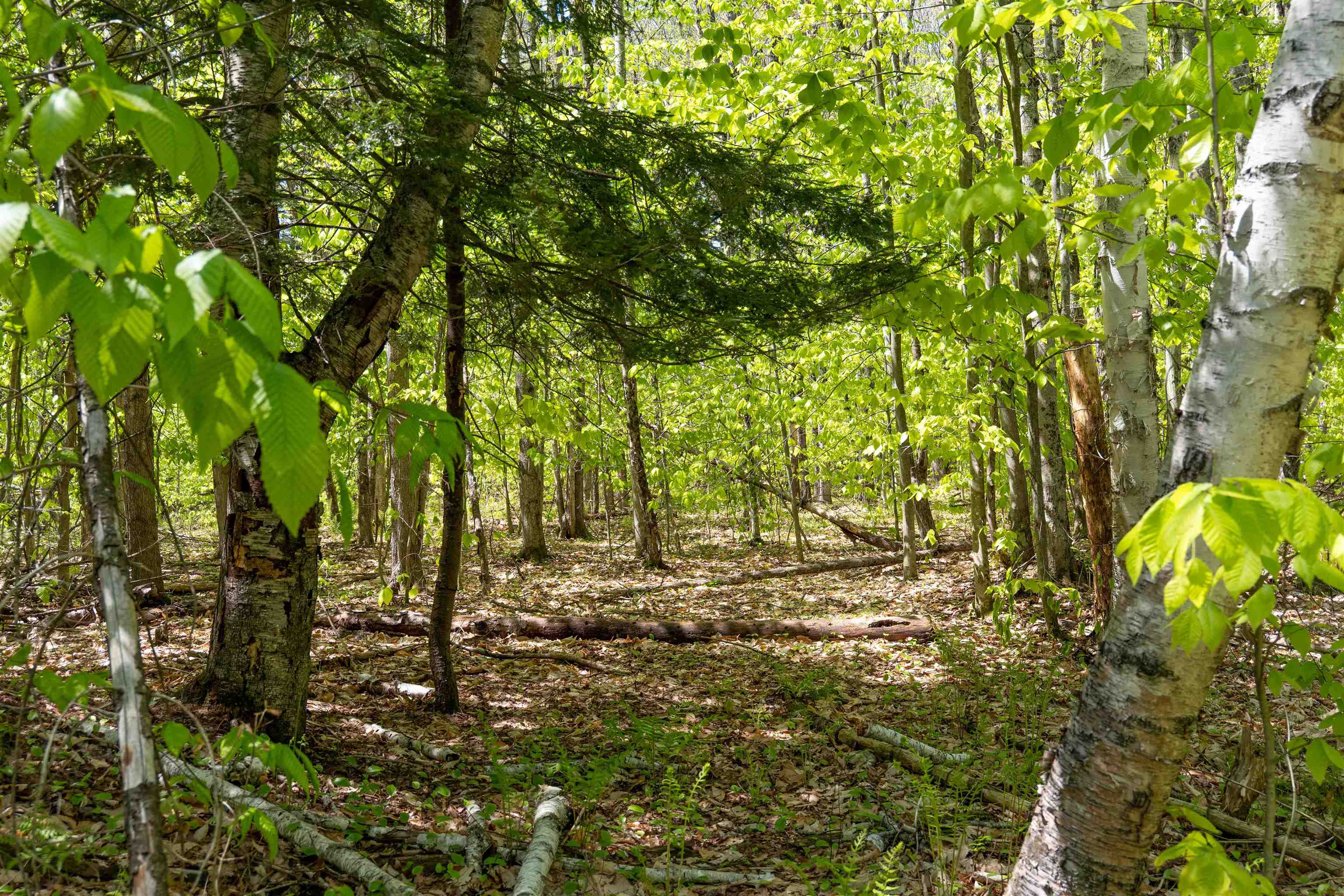 MLS #5043422 image #20