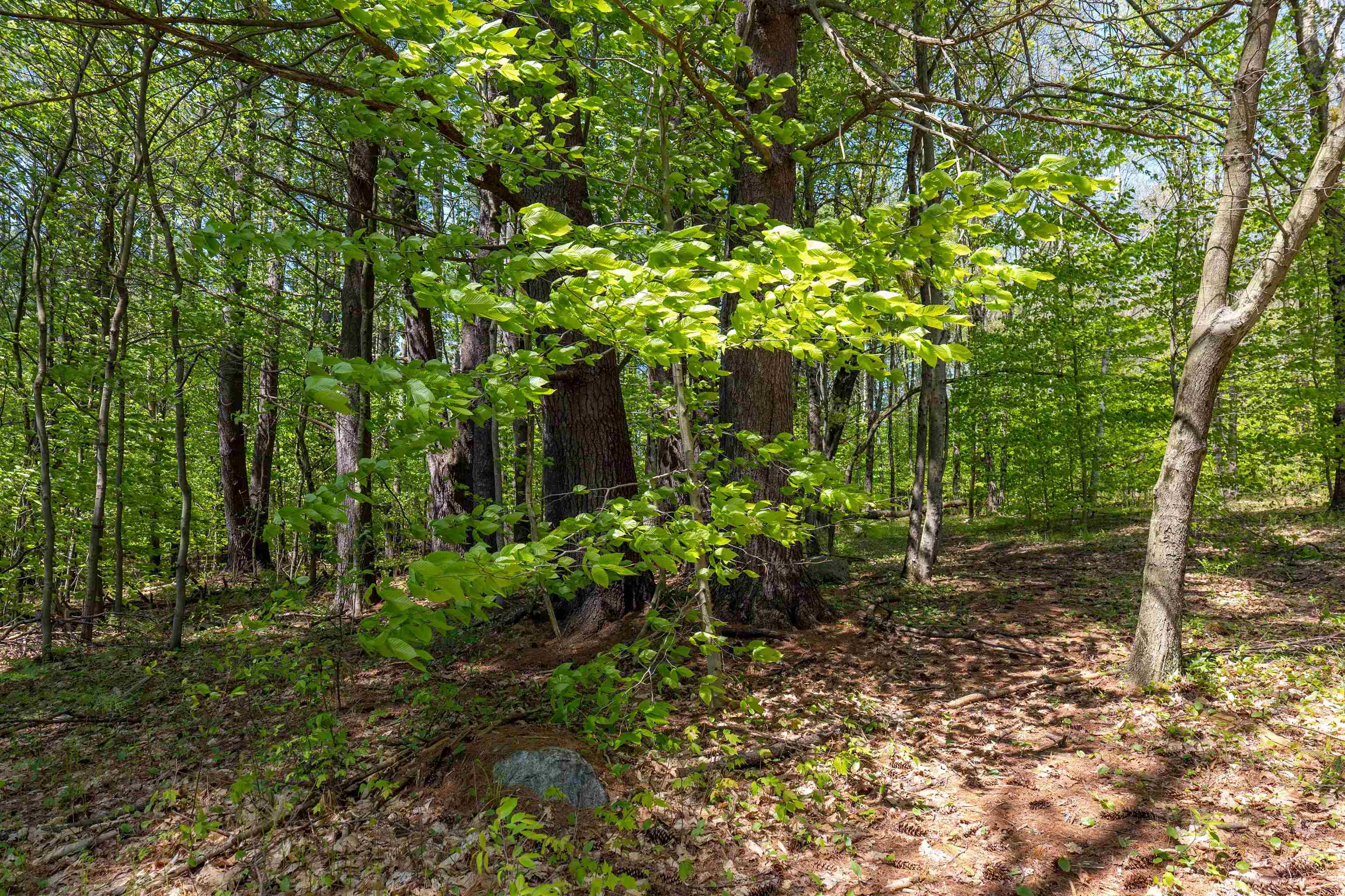 MLS #5043422 image #21