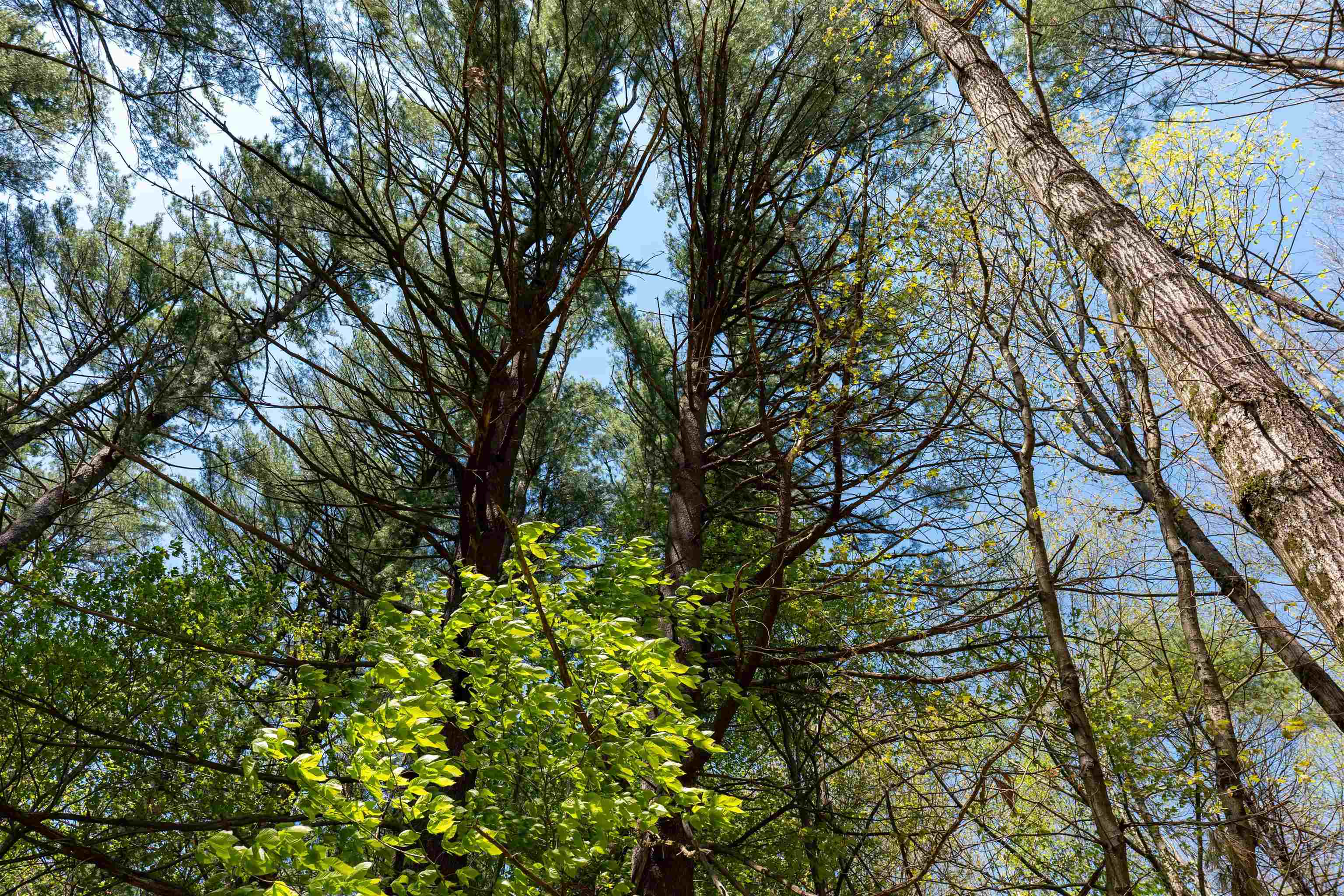 MLS #5043422 image #22