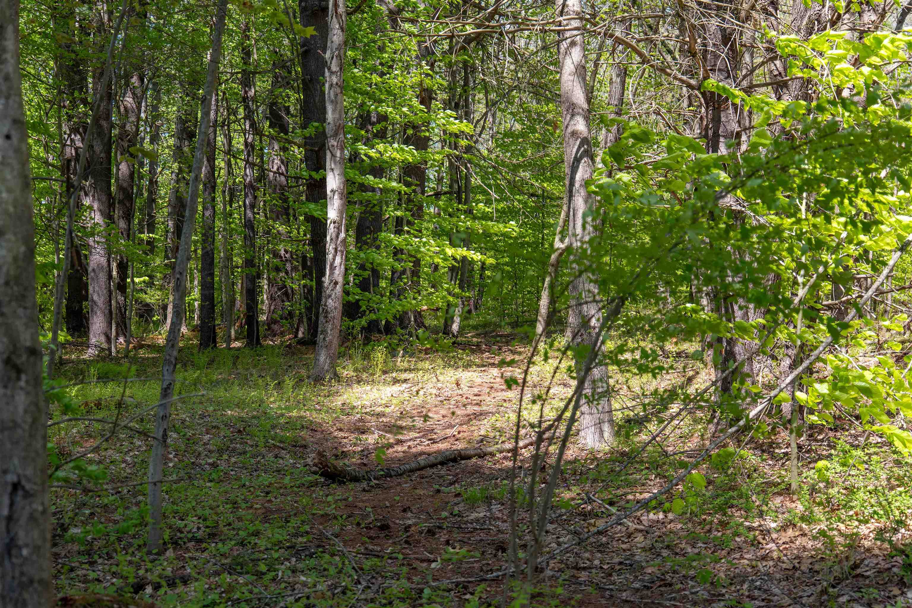 MLS #5043422 image #3