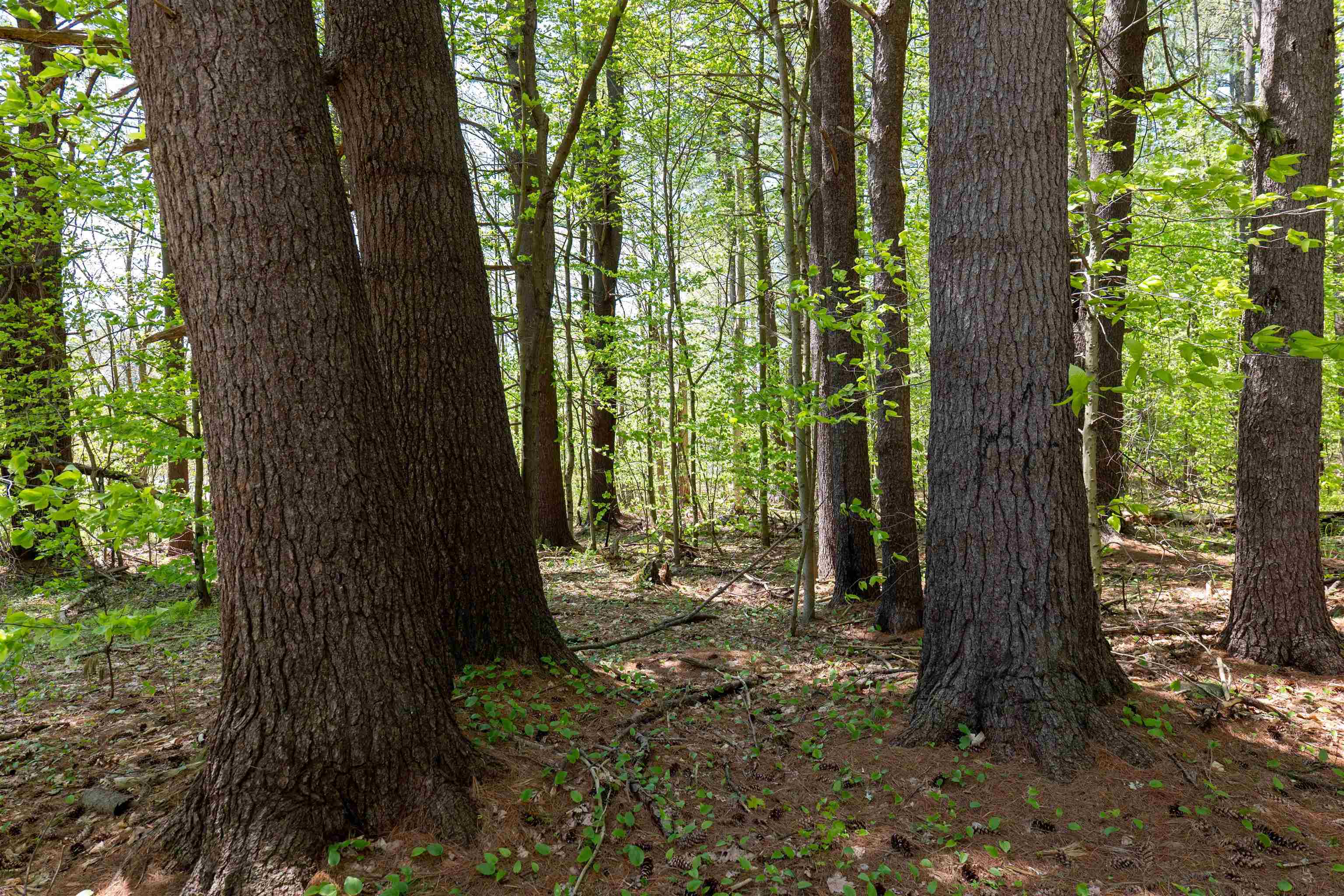 MLS #5043422 image #4