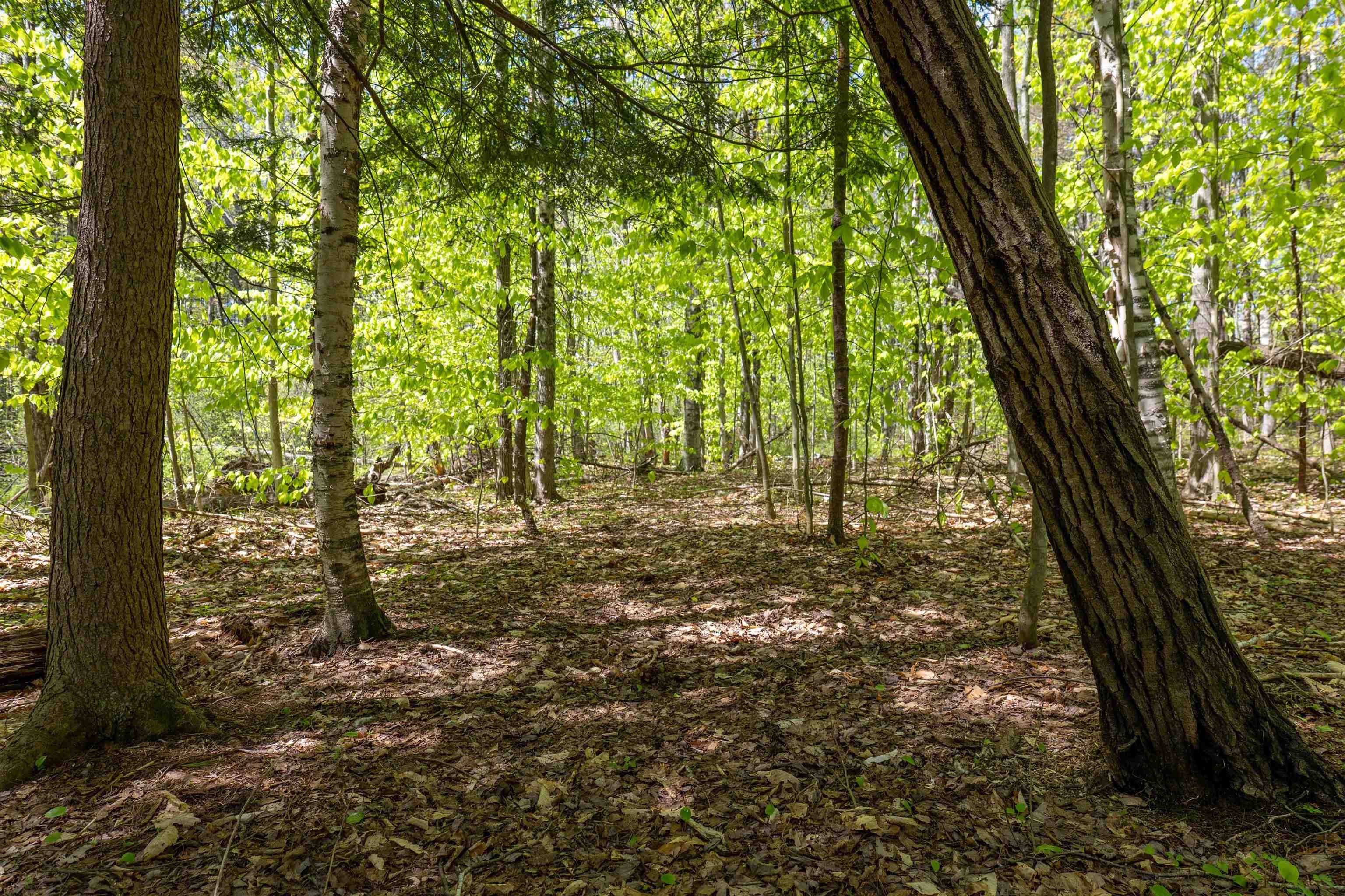 MLS #5043422 image #5