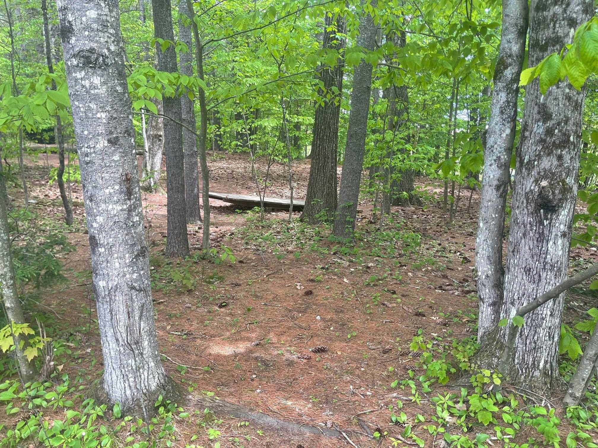 MLS #5043422 image #6