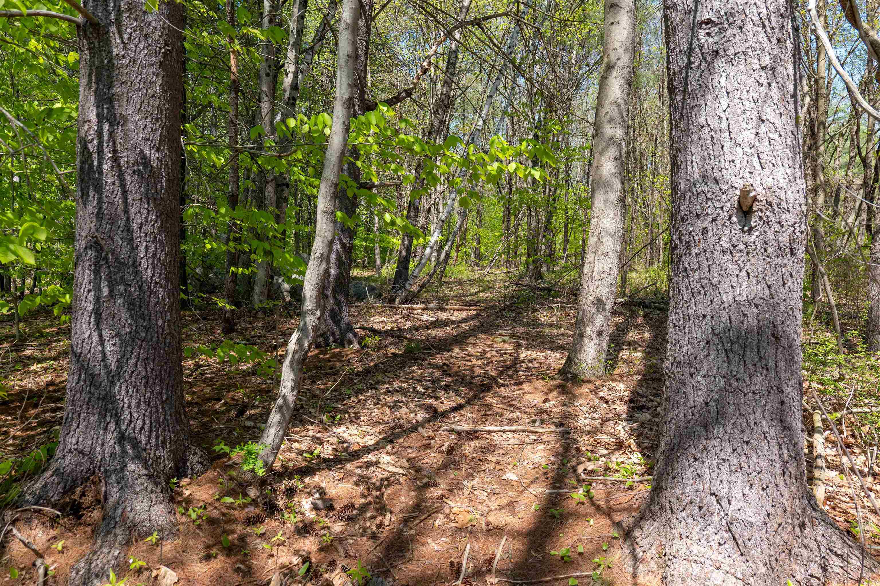 MLS #5043422 image #7