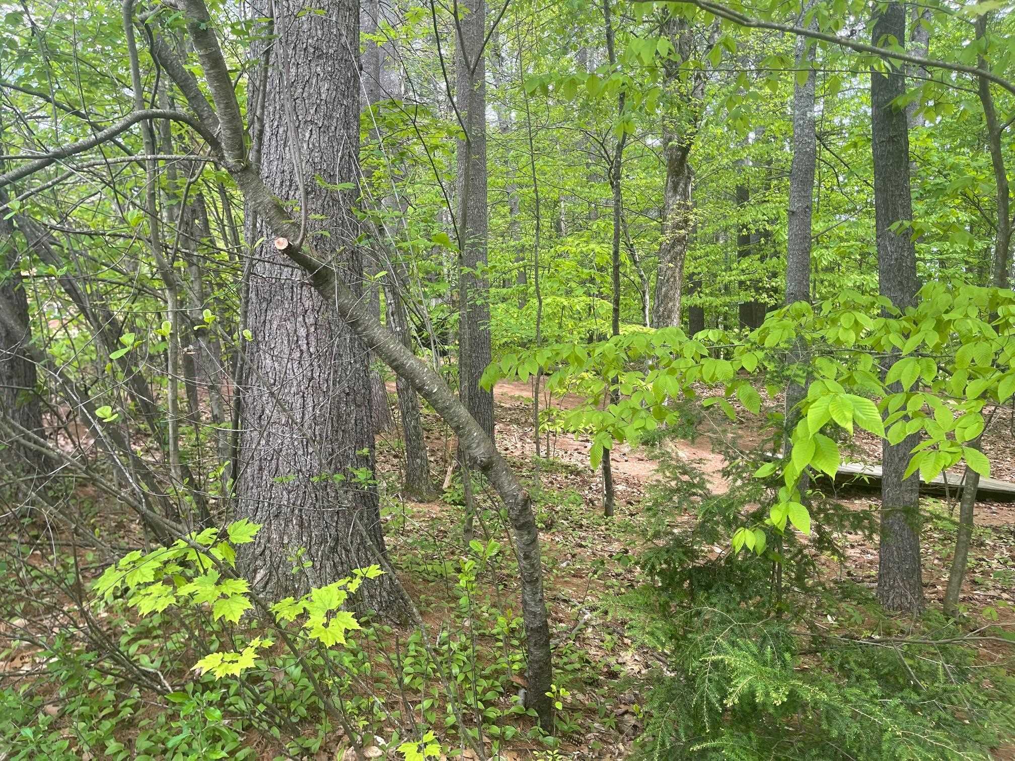 MLS #5043422 image #8