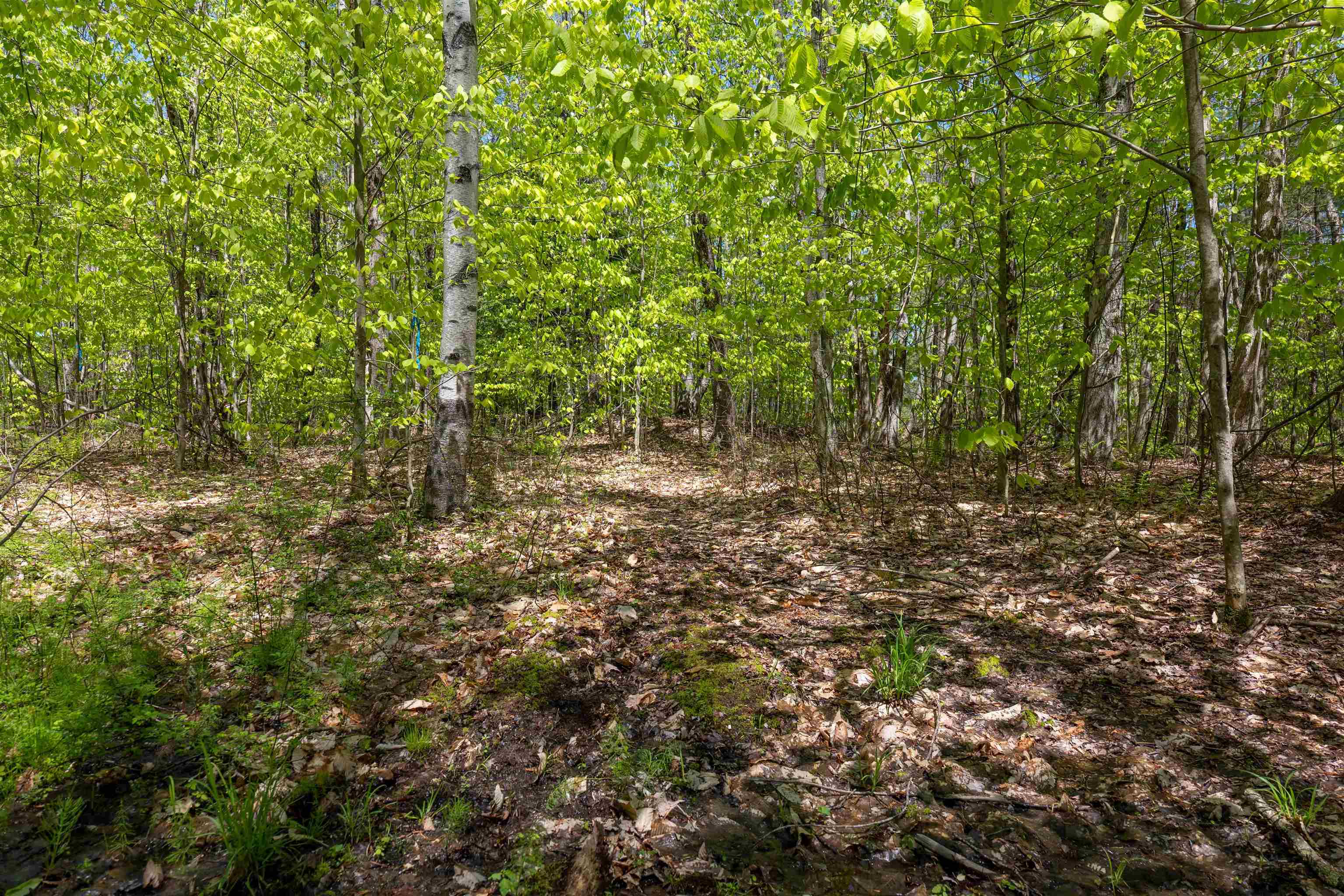 MLS #5043422 image #9