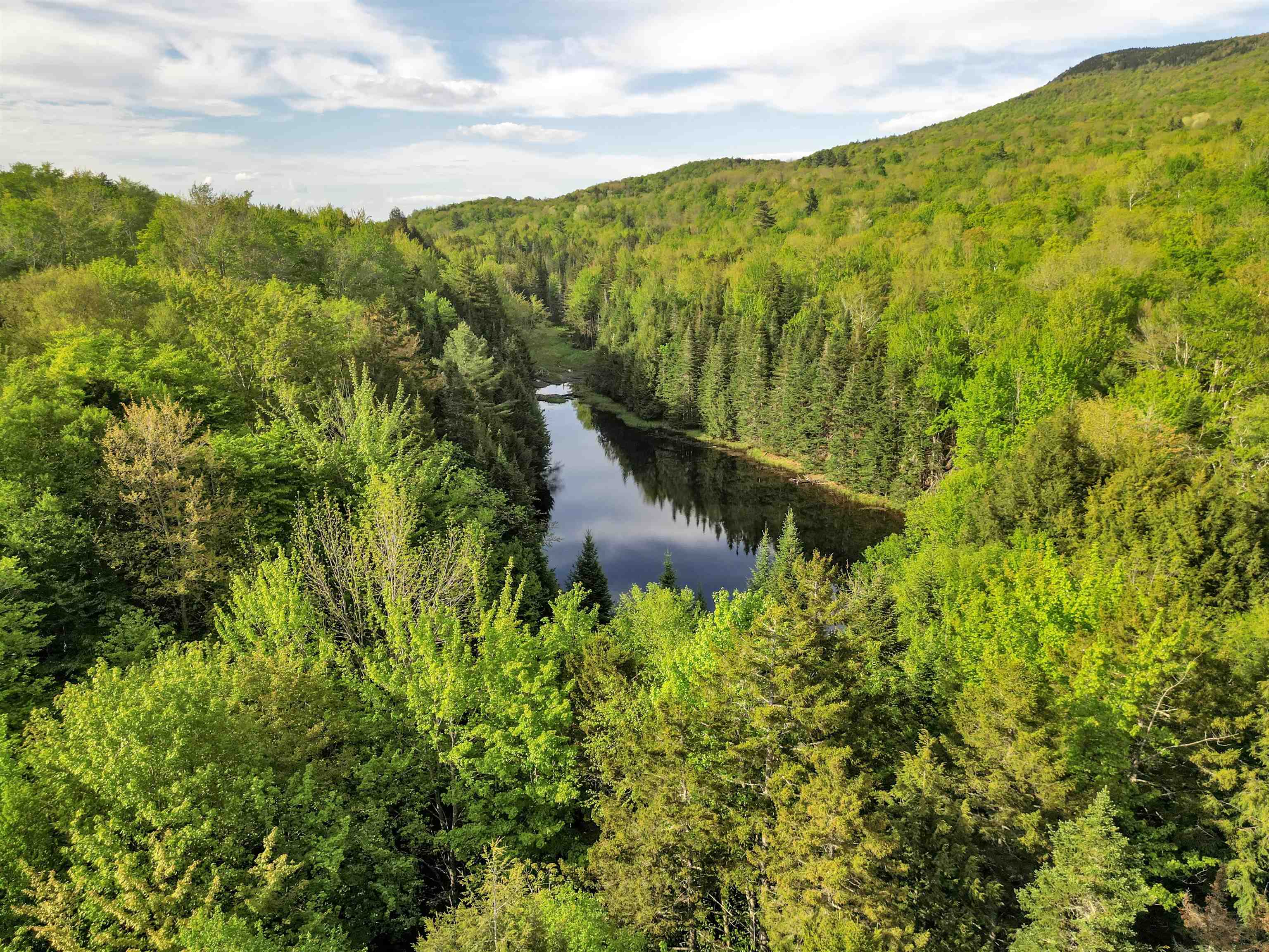 Pond And Trails Out Your Front Door 23316386