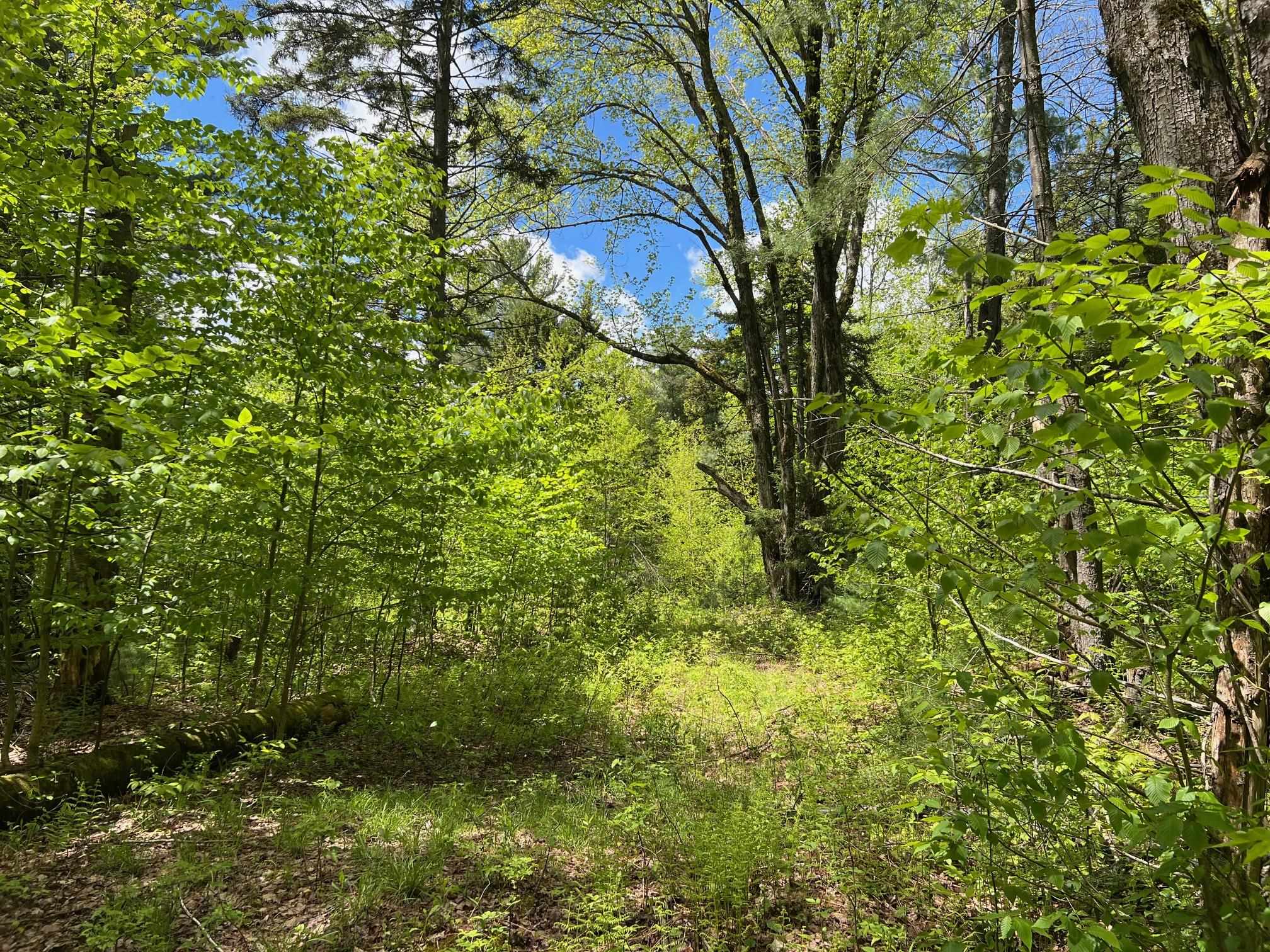 Homes for sale in Fayston, VT | 0 Bragg Hill Rd, Fayston, VT 05673 | MLS# 5043639