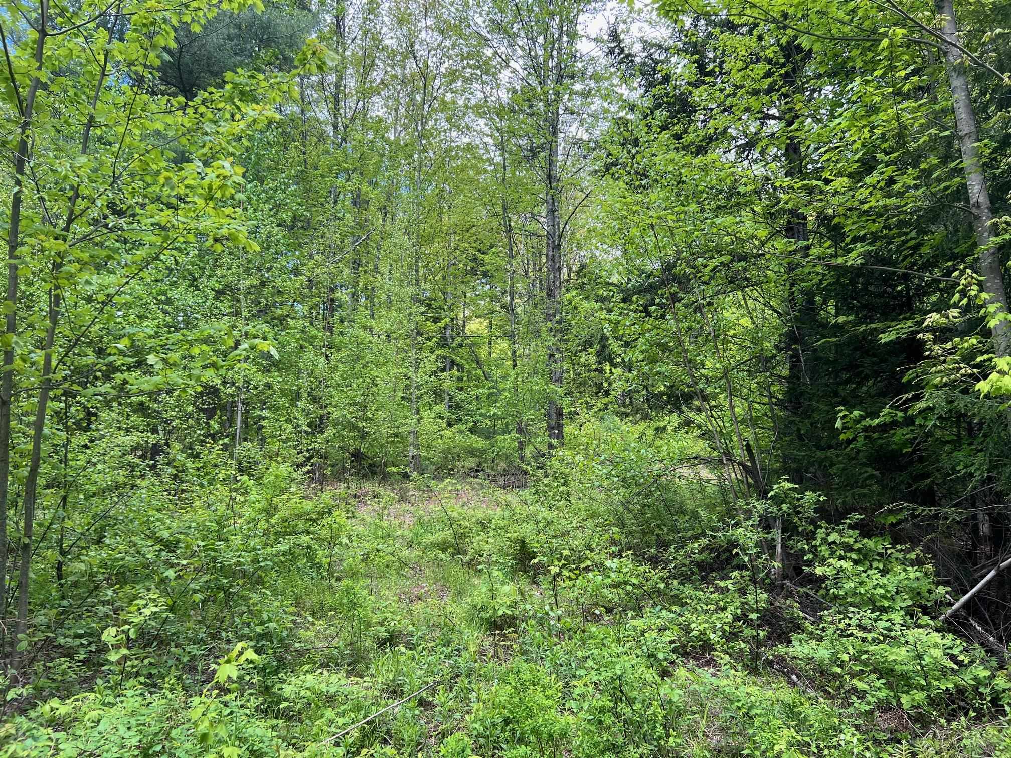 Homes for sale in Fayston, VT | 0 Bragg Hill Rd, Fayston, VT 05673 | MLS# 5043639