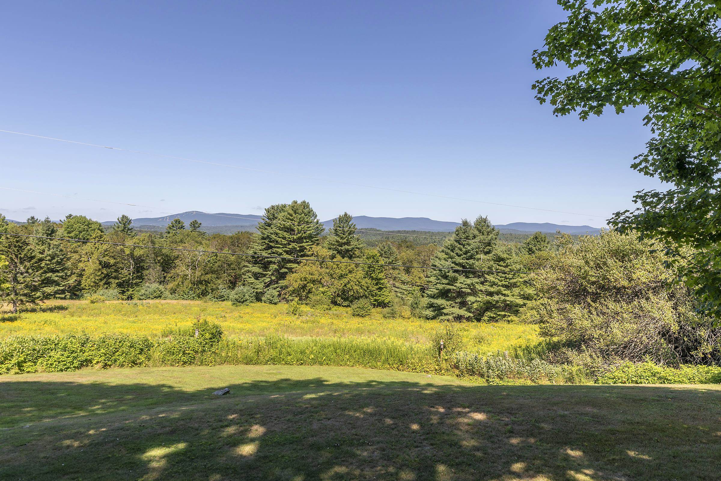 Homes for sale in Londonderry, VT | 732 Under The Mountain Rd, Londonderry, VT 05155 | MLS# 5043818