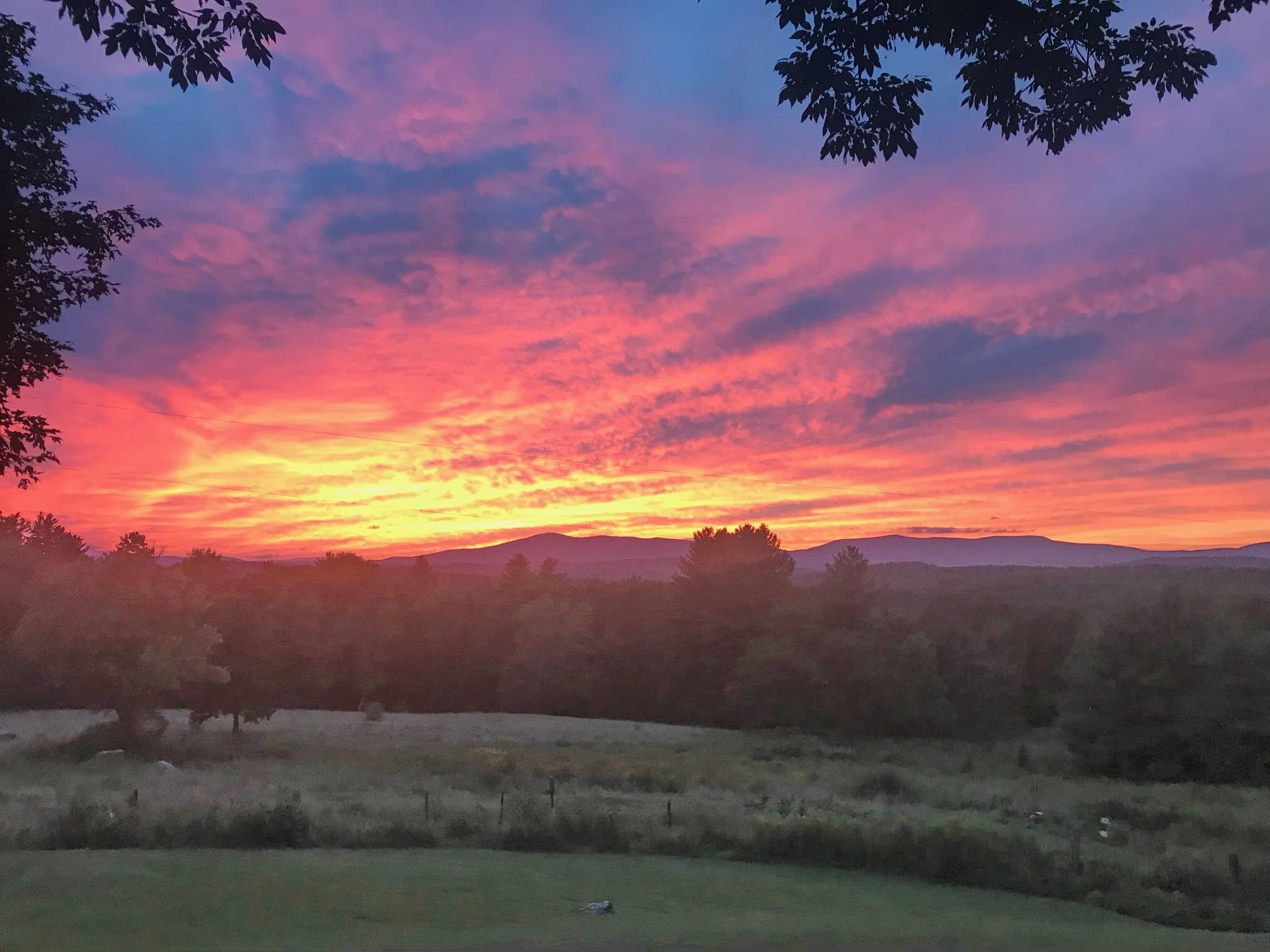 Homes for sale in Londonderry, VT | 732 Under The Mountain Rd, Londonderry, VT 05155 | MLS# 5043818