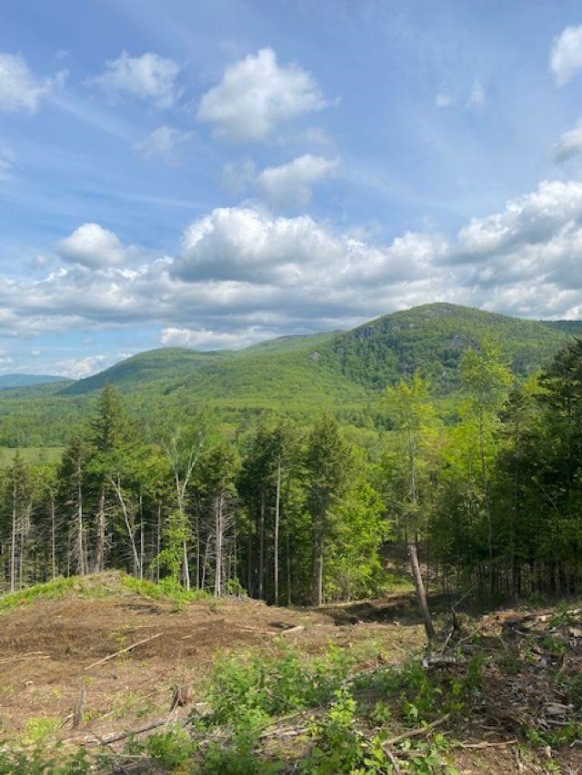 15-12-10-9 Jacob Hall Farm Rd, Rumney, NH 03266-9998