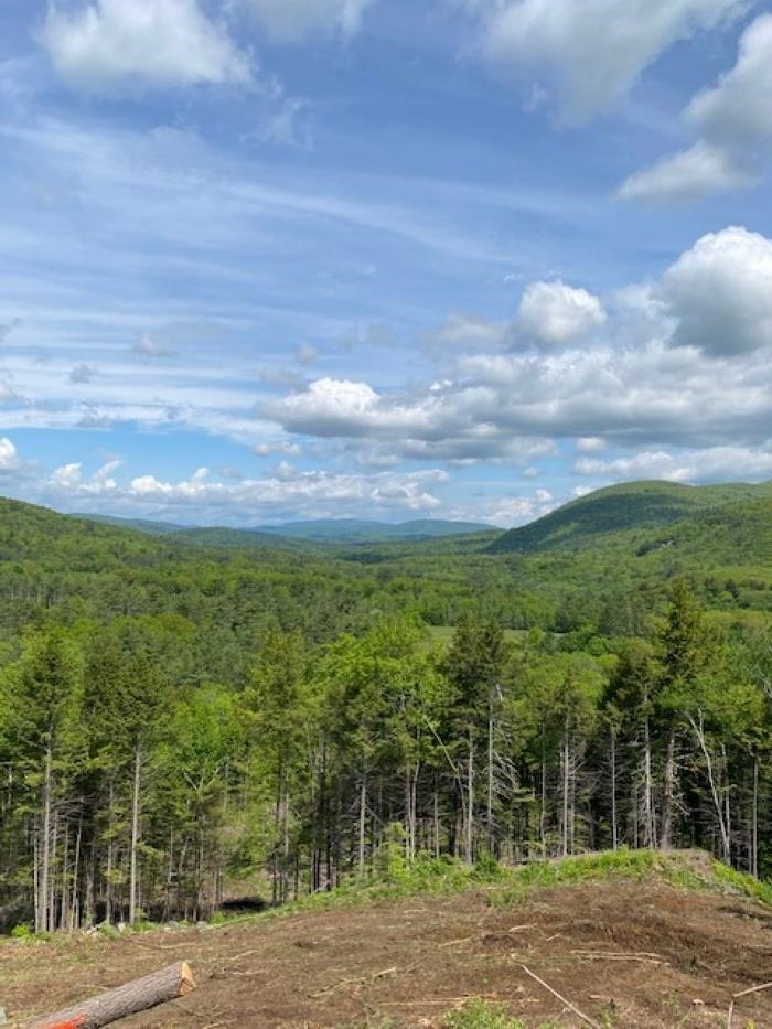 15-12-10-9 Jacob Hall Farm Rd, Rumney, NH 03266-9998