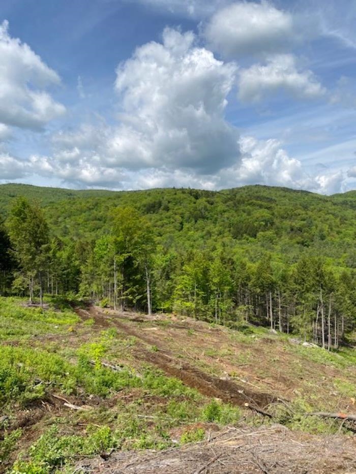 15-12-10-9 Jacob Hall Farm Rd, Rumney, NH 03266-9998