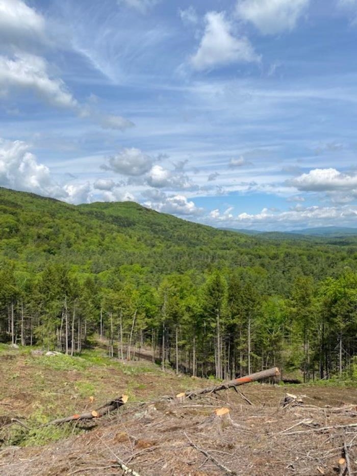 15-12-10-9 Jacob Hall Farm Rd, Rumney, NH 03266-9998