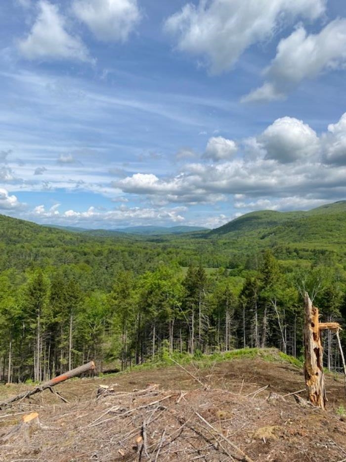 15-12-10-9 Jacob Hall Farm Rd, Rumney, NH 03266-9998