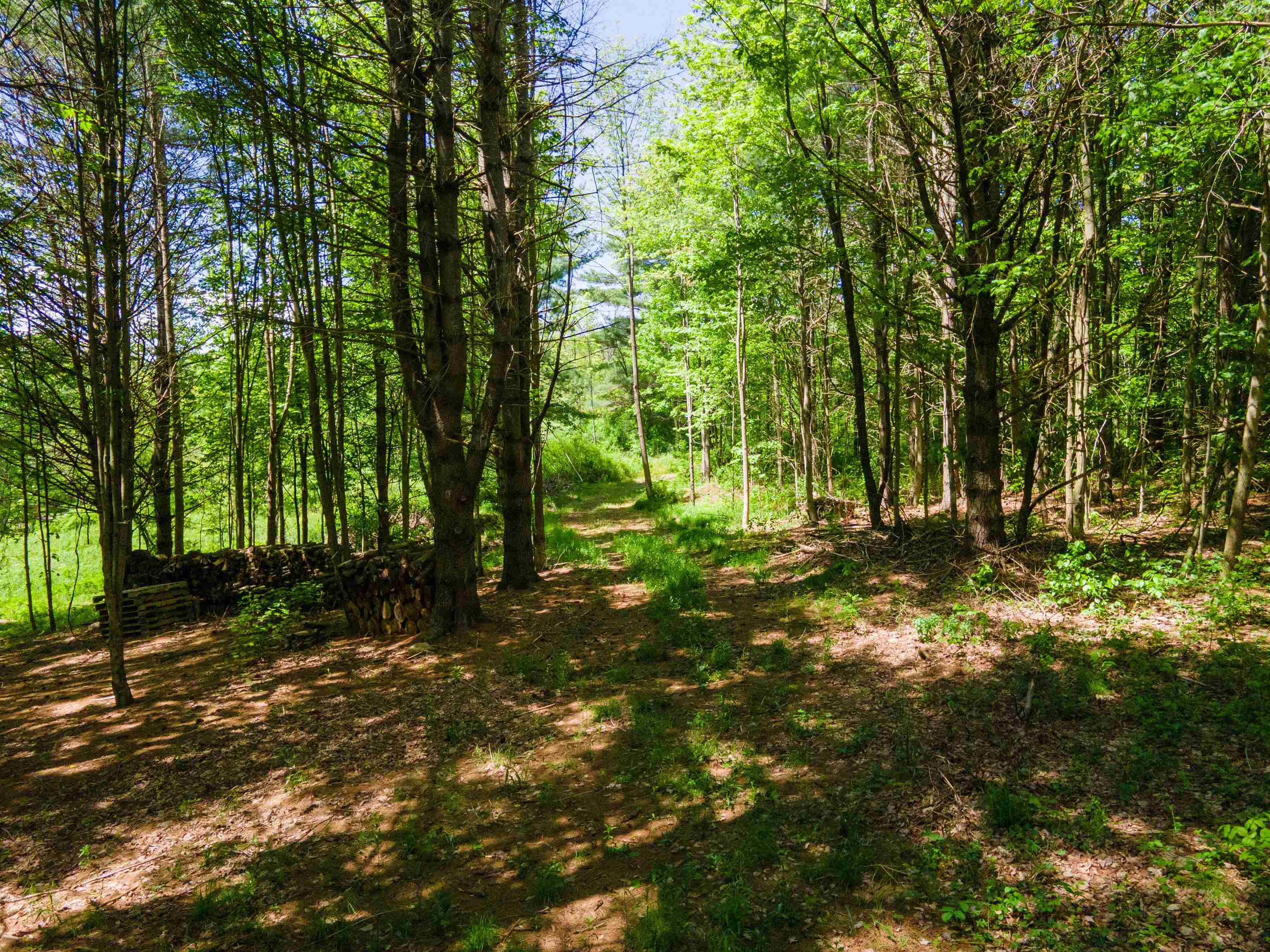 Homes for sale in Claremont, NH | 381 E Green Mountain Rd, Claremont, NH 03743 | MLS# 5043932