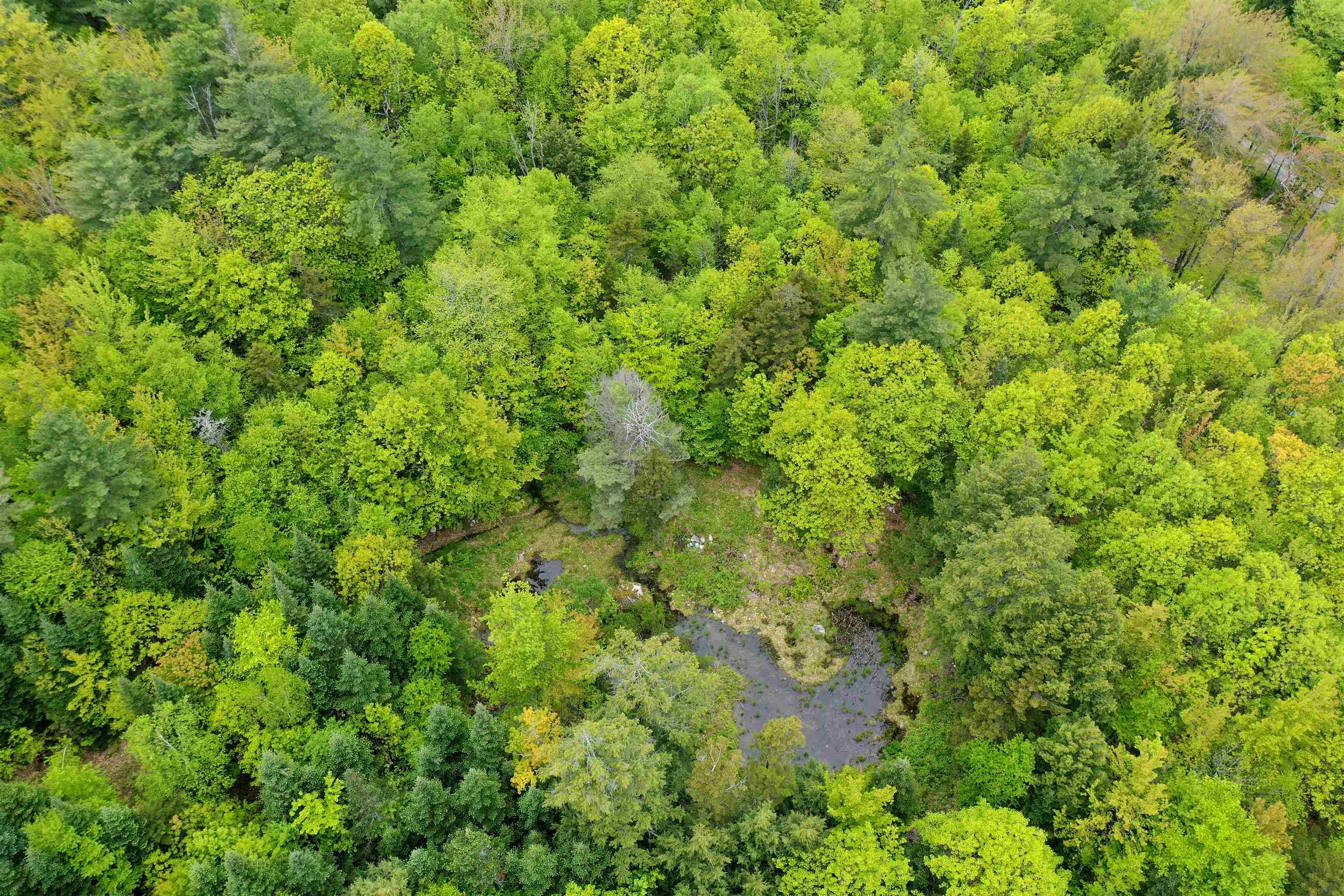 MLS #5043990 image #10