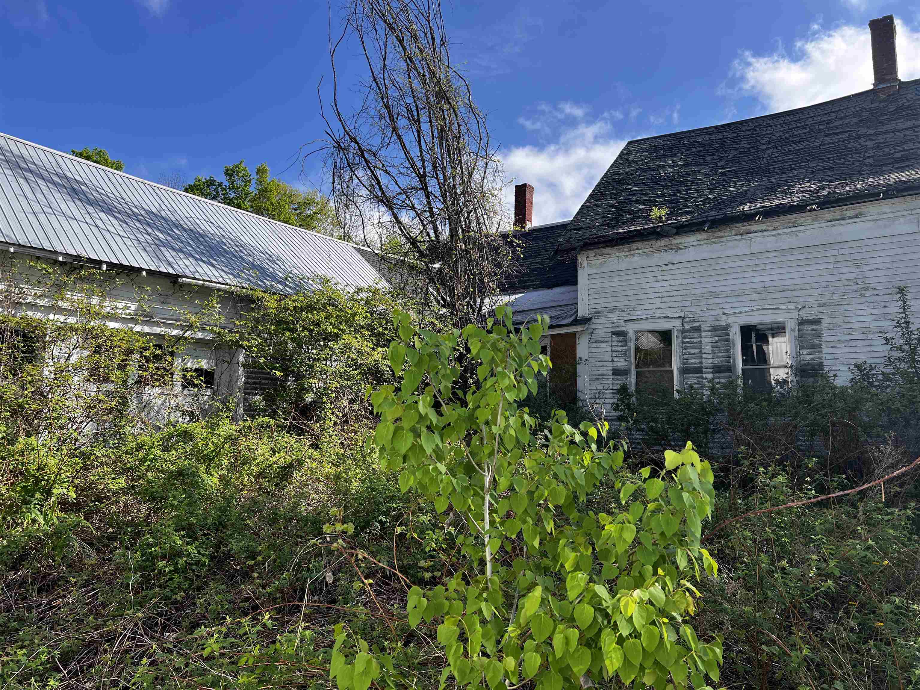 MLS #5044019 image #5