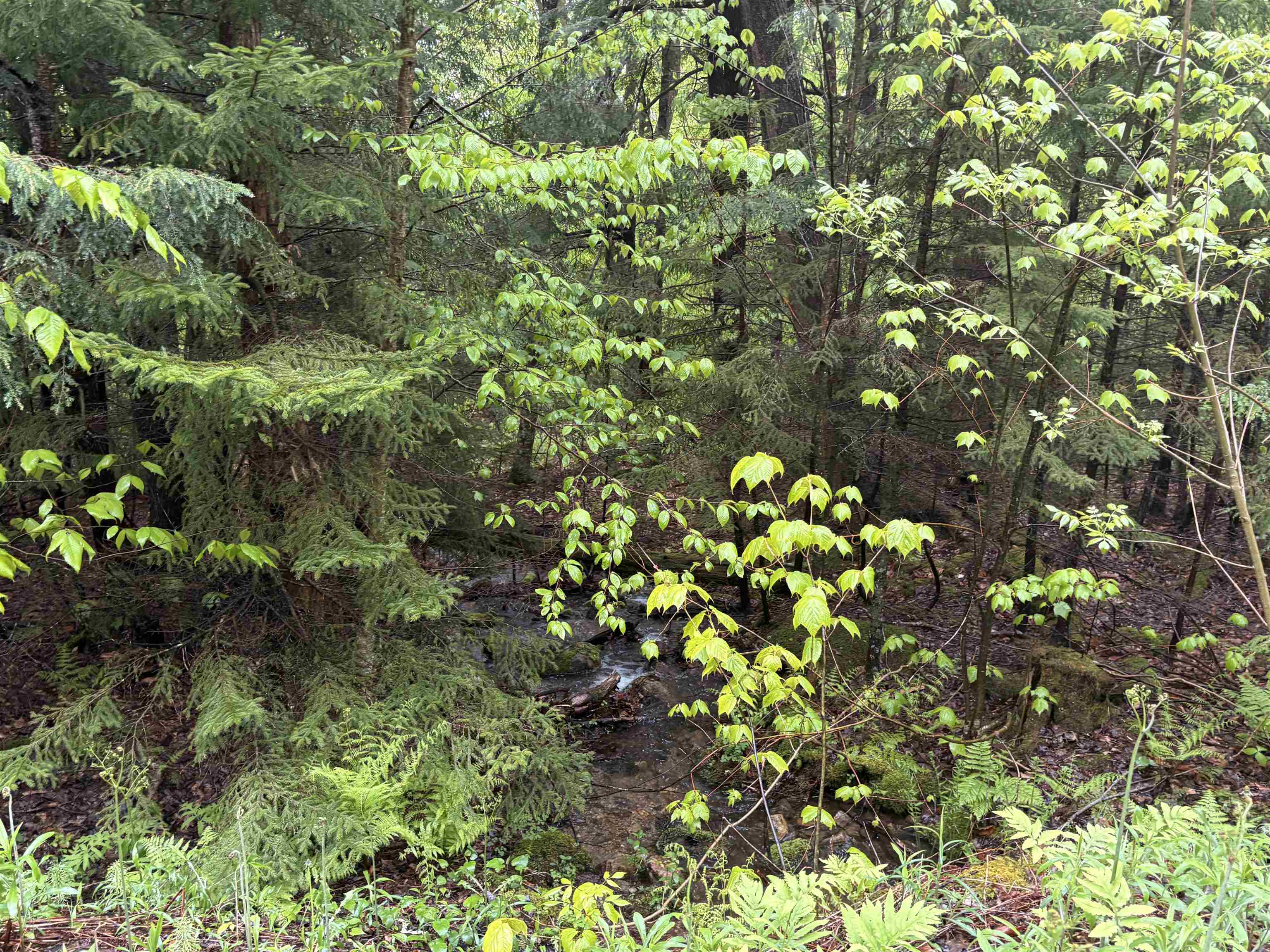 Homes for sale in Stamford, VT | 0 Bergrucken Ln, Stamford, VT 05352 | MLS# 5044034