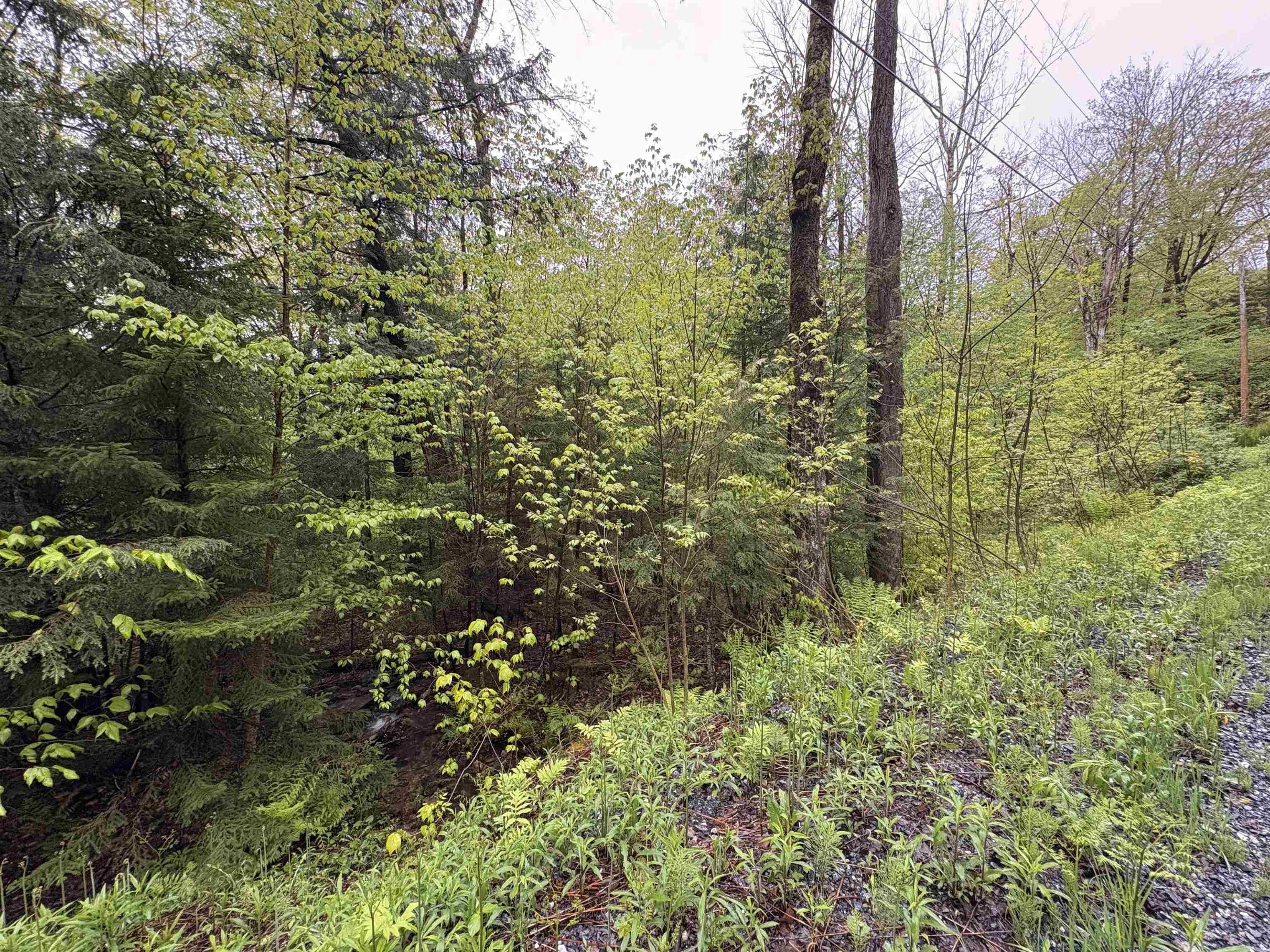 Homes for sale in Stamford, VT | 0 Bergrucken Ln, Stamford, VT 05352 | MLS# 5044034