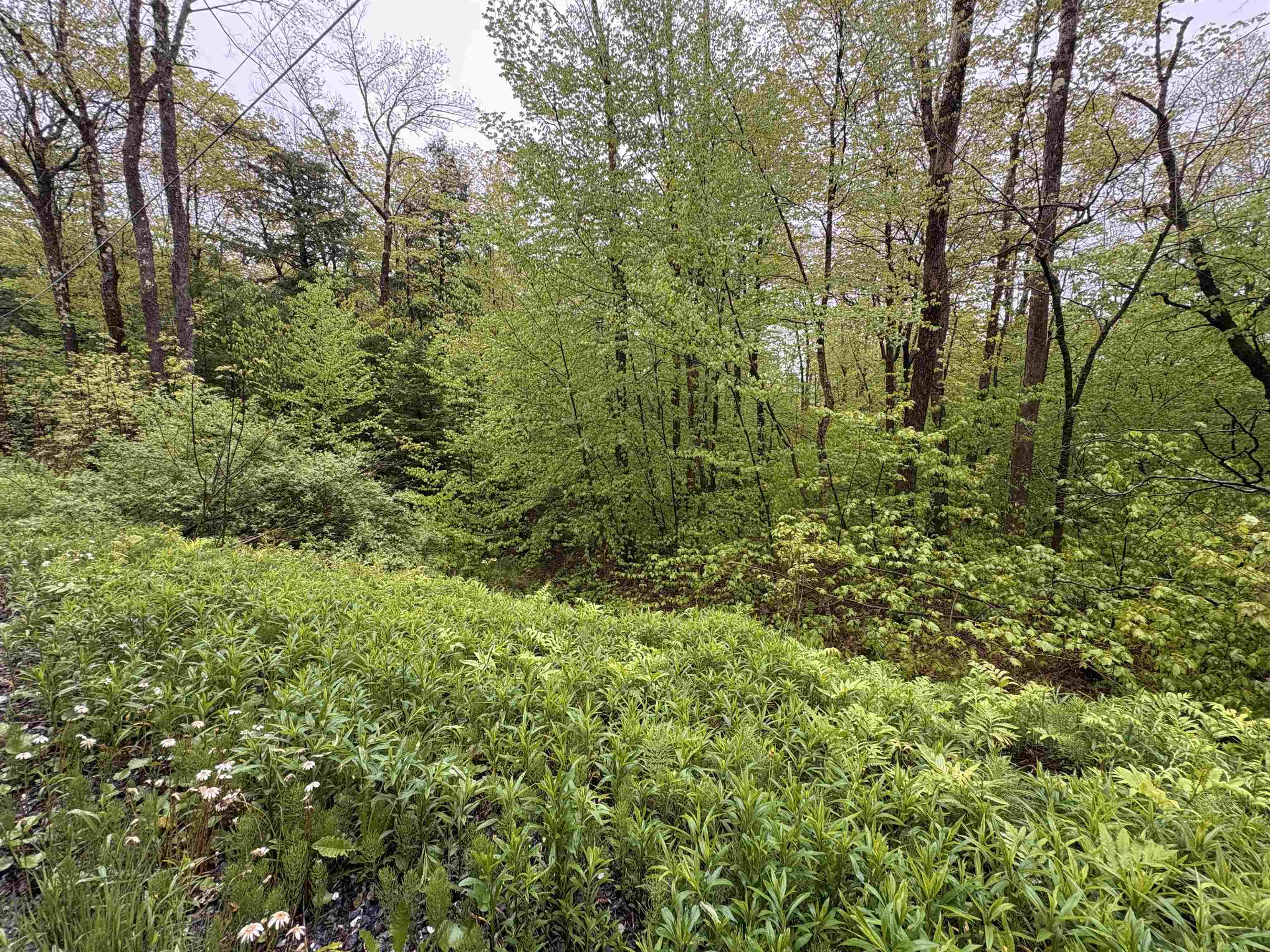 Homes for sale in Stamford, VT | 0 Bergrucken Ln, Stamford, VT 05352 | MLS# 5044034