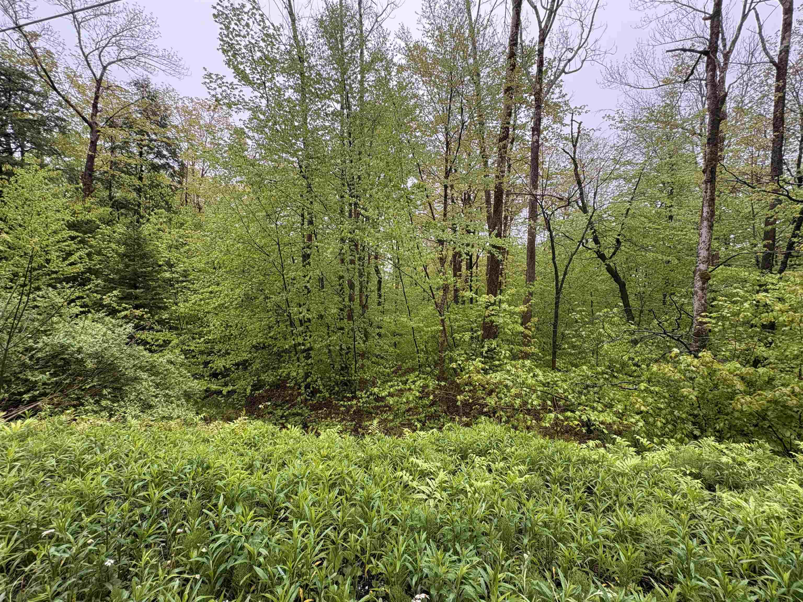 Homes for sale in Stamford, VT | 0 Bergrucken Ln, Stamford, VT 05352 | MLS# 5044034