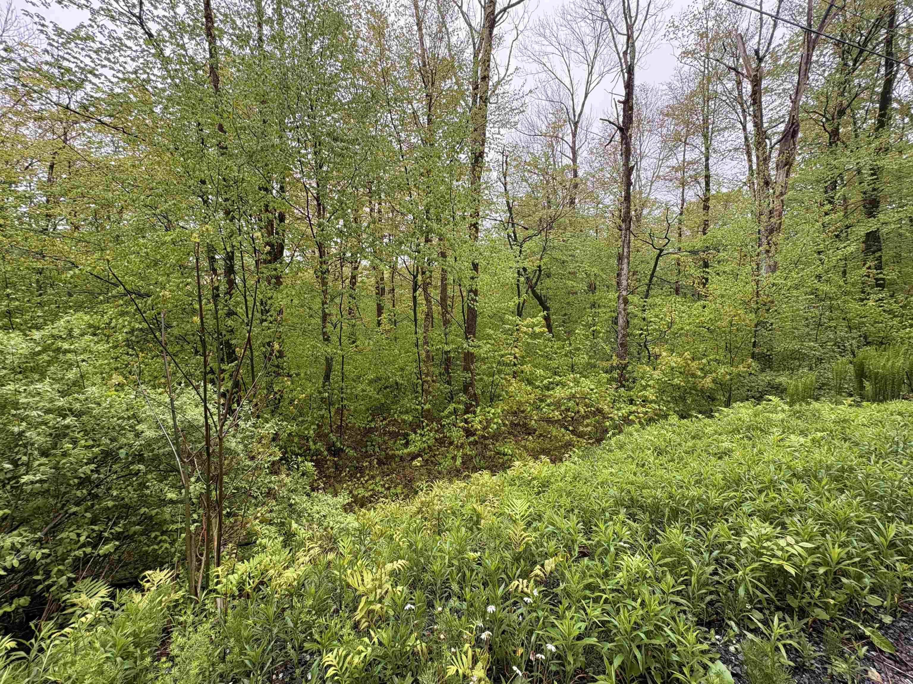 Homes for sale in Stamford, VT | 0 Bergrucken Ln, Stamford, VT 05352 | MLS# 5044034