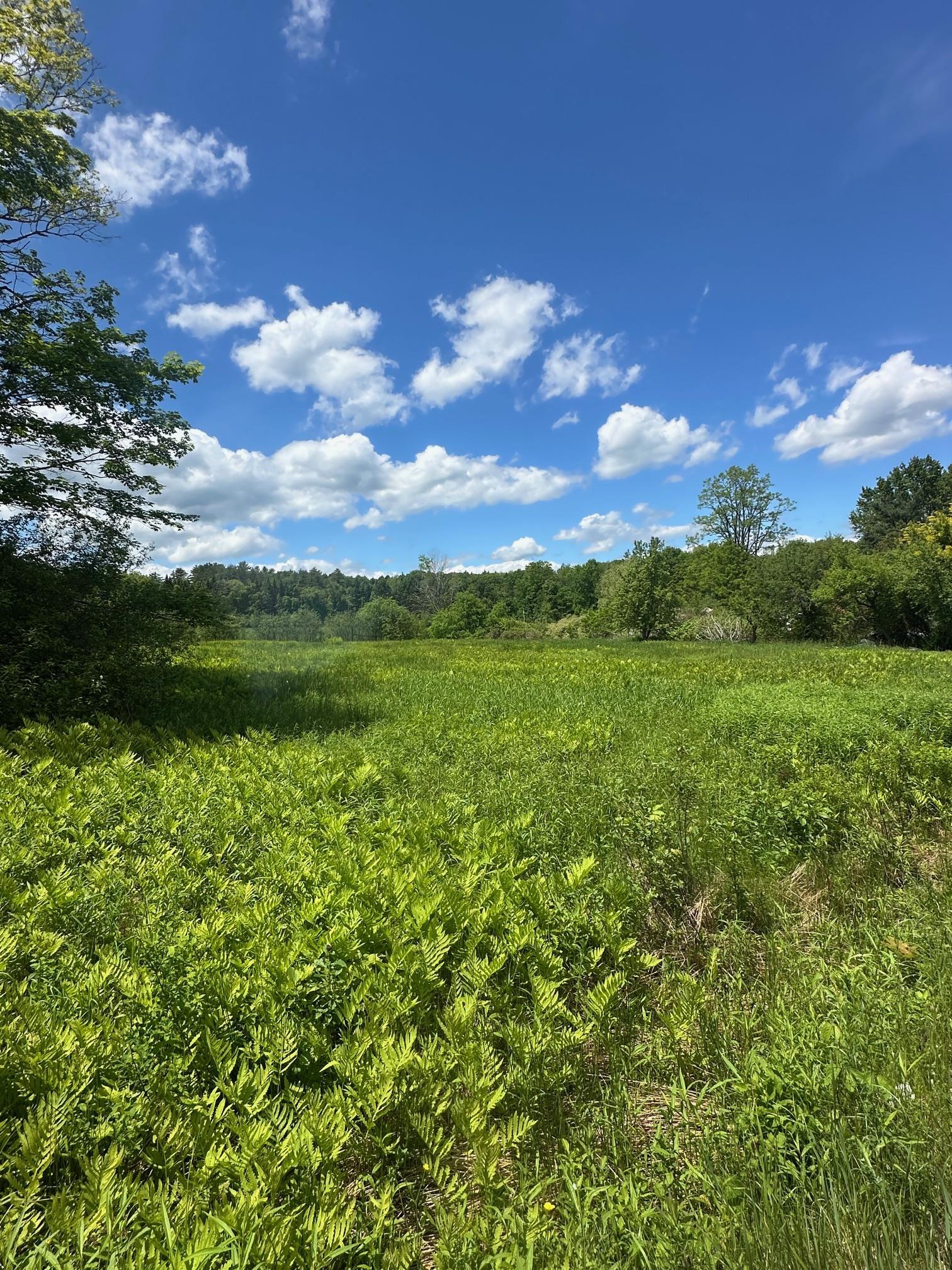 WESTMINSTER VT LAND  for sale $$90,000 | 3.2 Acres  | Price Per Acre $0