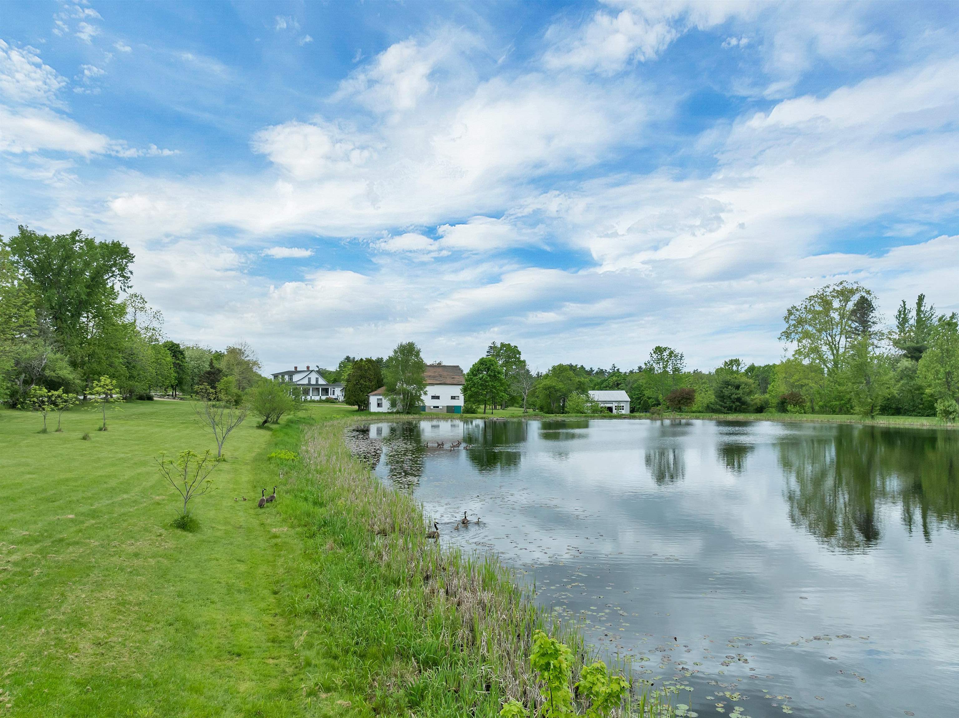 MLS #5044197 image #12