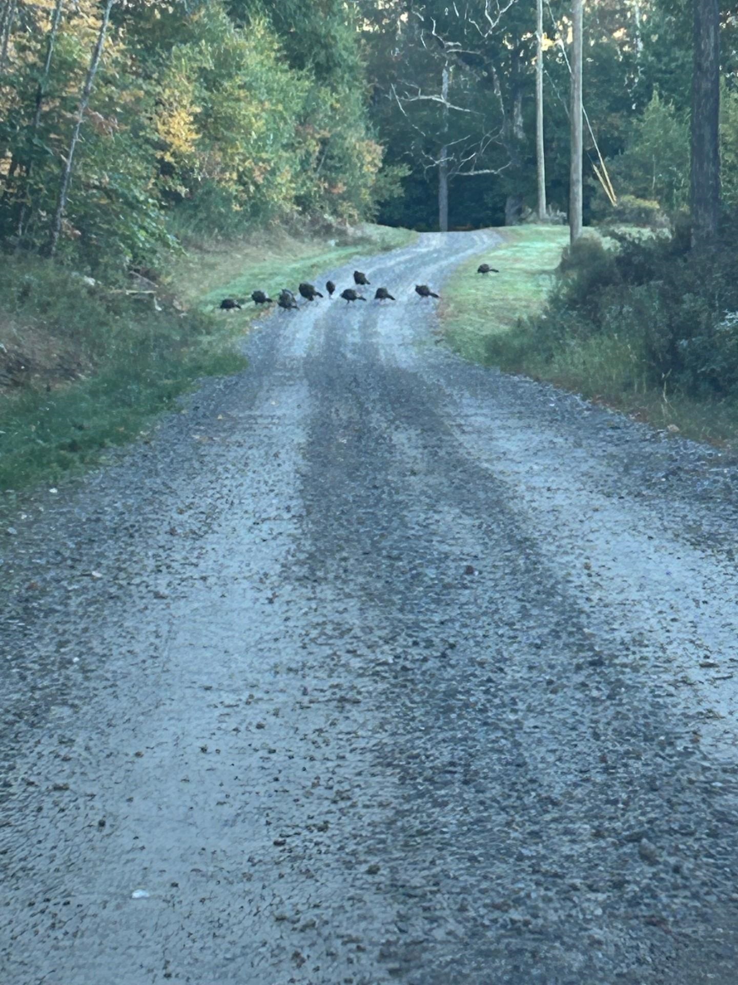 Homes for sale in Webster, NH | Map 7 Lot 1 Battle St, Webster, NH 03303 | MLS# 5044534