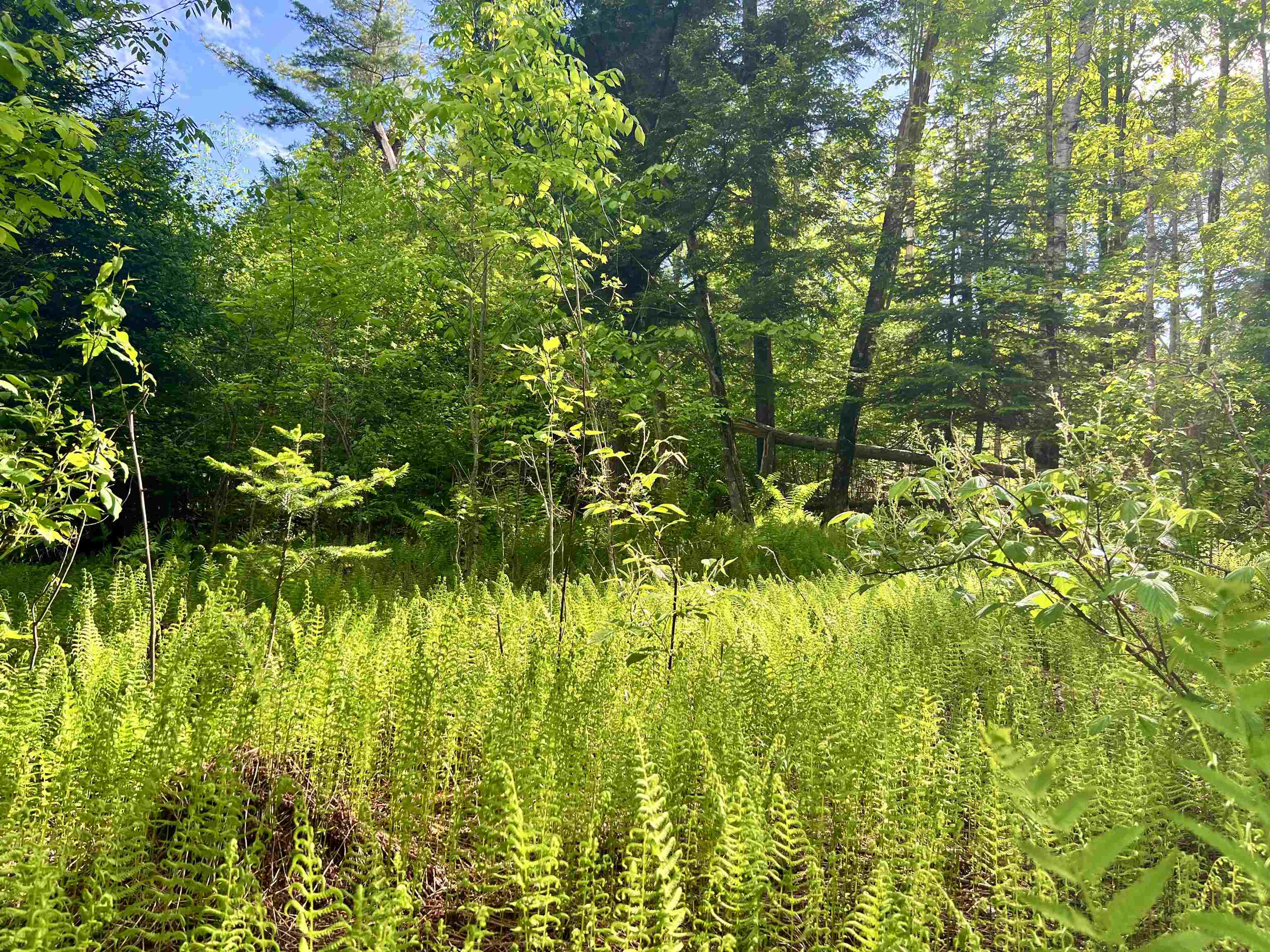 Homes for sale in Danville, VT | 00 Hawkins Rd, Danville, VT 05828 | MLS# 5044594