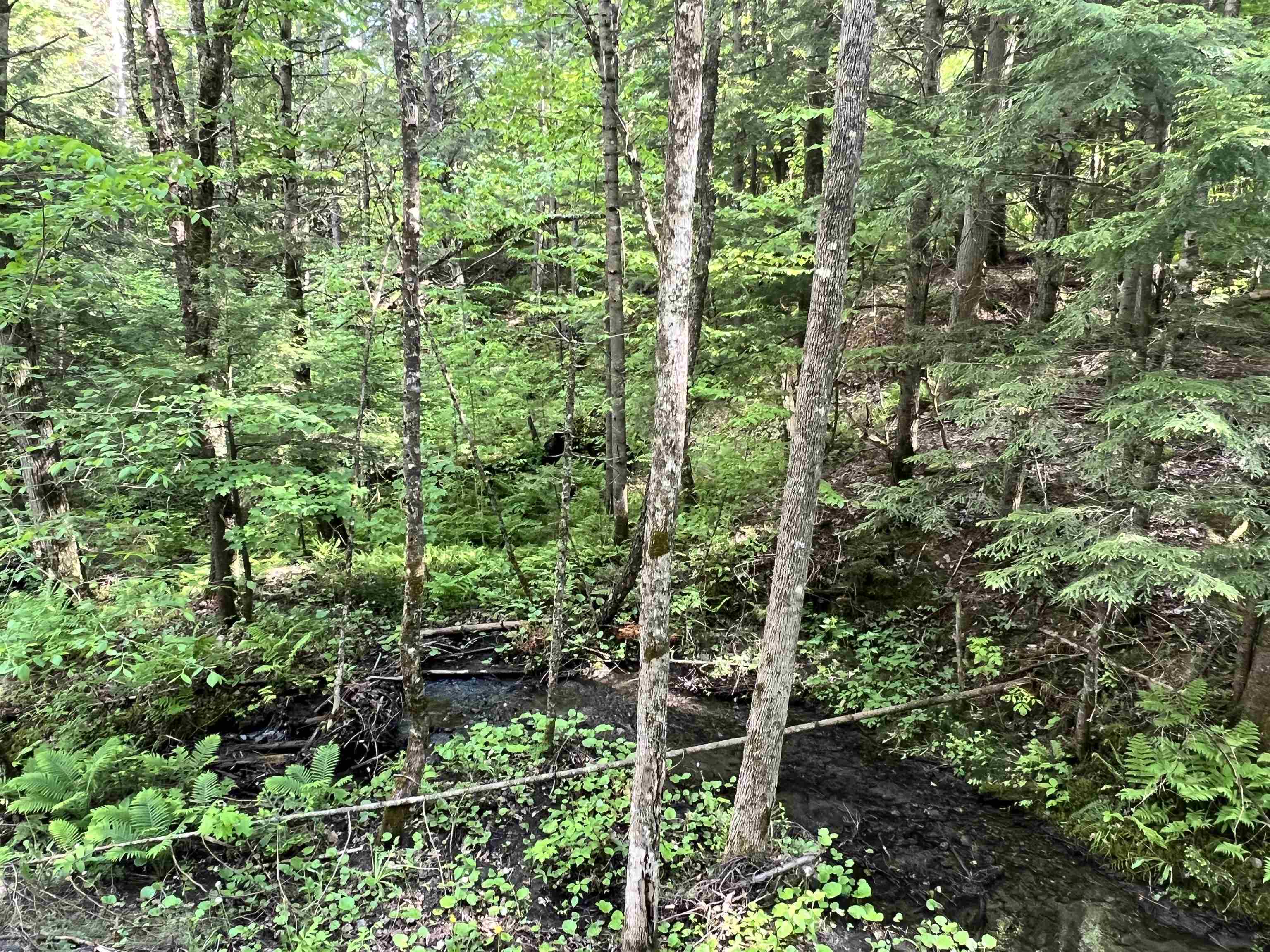 Homes for sale in Danville, VT | 00 Hawkins Rd, Danville, VT 05828 | MLS# 5044594