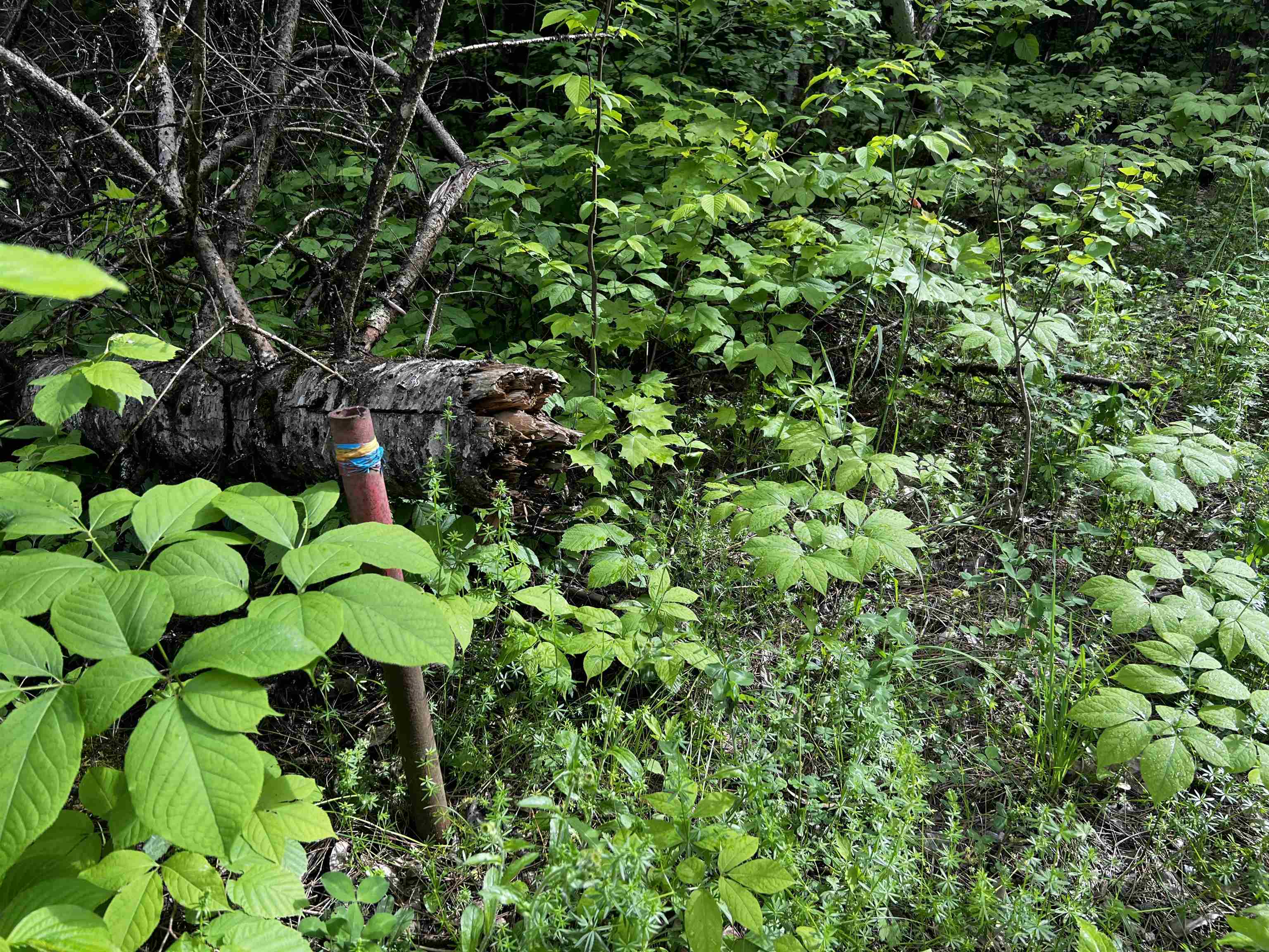 Homes for sale in Danville, VT | 00 Hawkins Rd, Danville, VT 05828 | MLS# 5044594