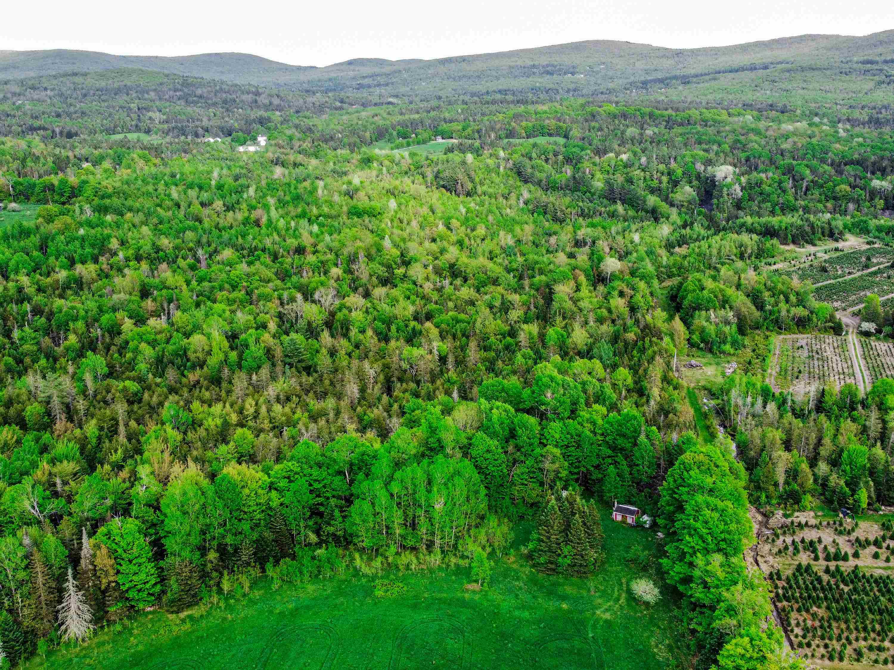 Homes for sale in Stannard, VT | 0 Tousant Hill Rd, Stannard, VT 05842 | MLS# 5044675