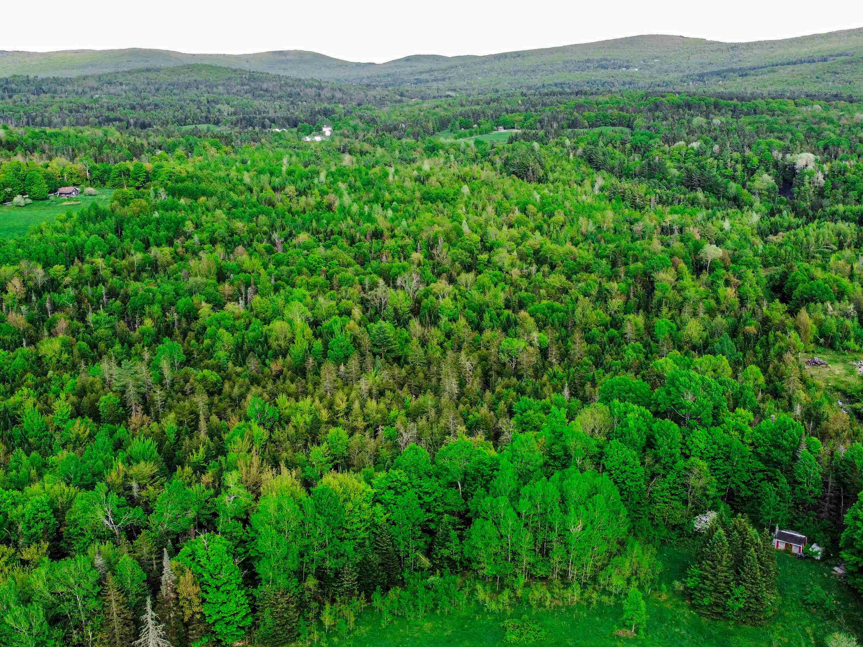 Homes for sale in Stannard, VT | 0 Tousant Hill Rd, Stannard, VT 05842 | MLS# 5044675