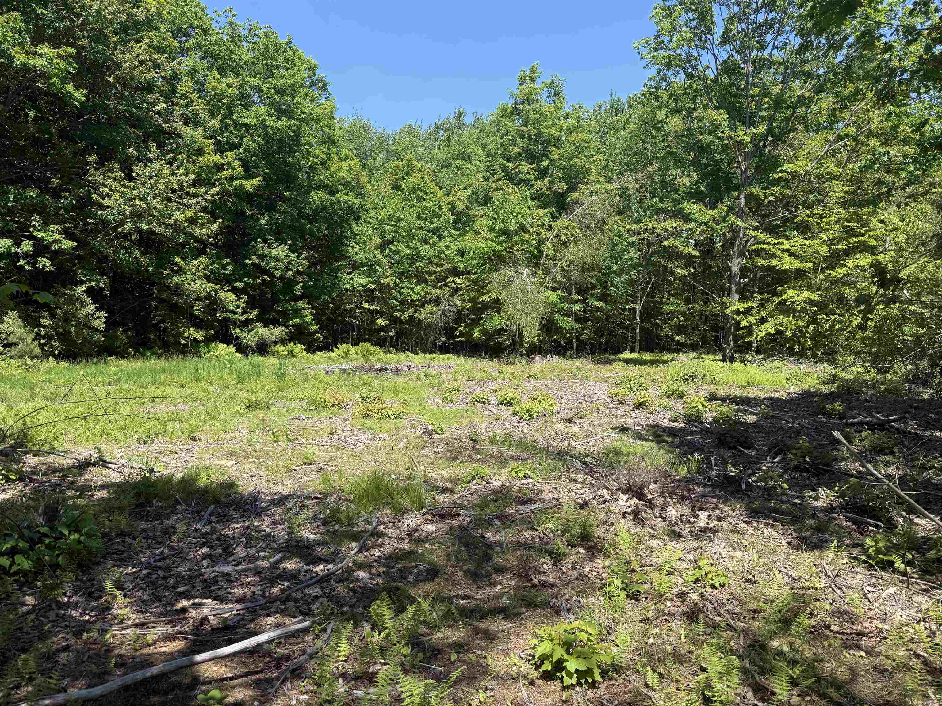Homes for sale in Alton, NH | Map 5 Lot 14 3 Stockbridge Corner Rd, Alton, NH 03809 | MLS# 5044694